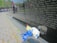 A reflective black stone wall inscribed with numerous names of individuals is viewed at an angle. Nearby, a cluster of white flowers with blue ribbons lies on the pavement. In the background, a group of people, including a child sitting on an adult's shoulders, are visible, suggesting a memorial or commemorative setting.