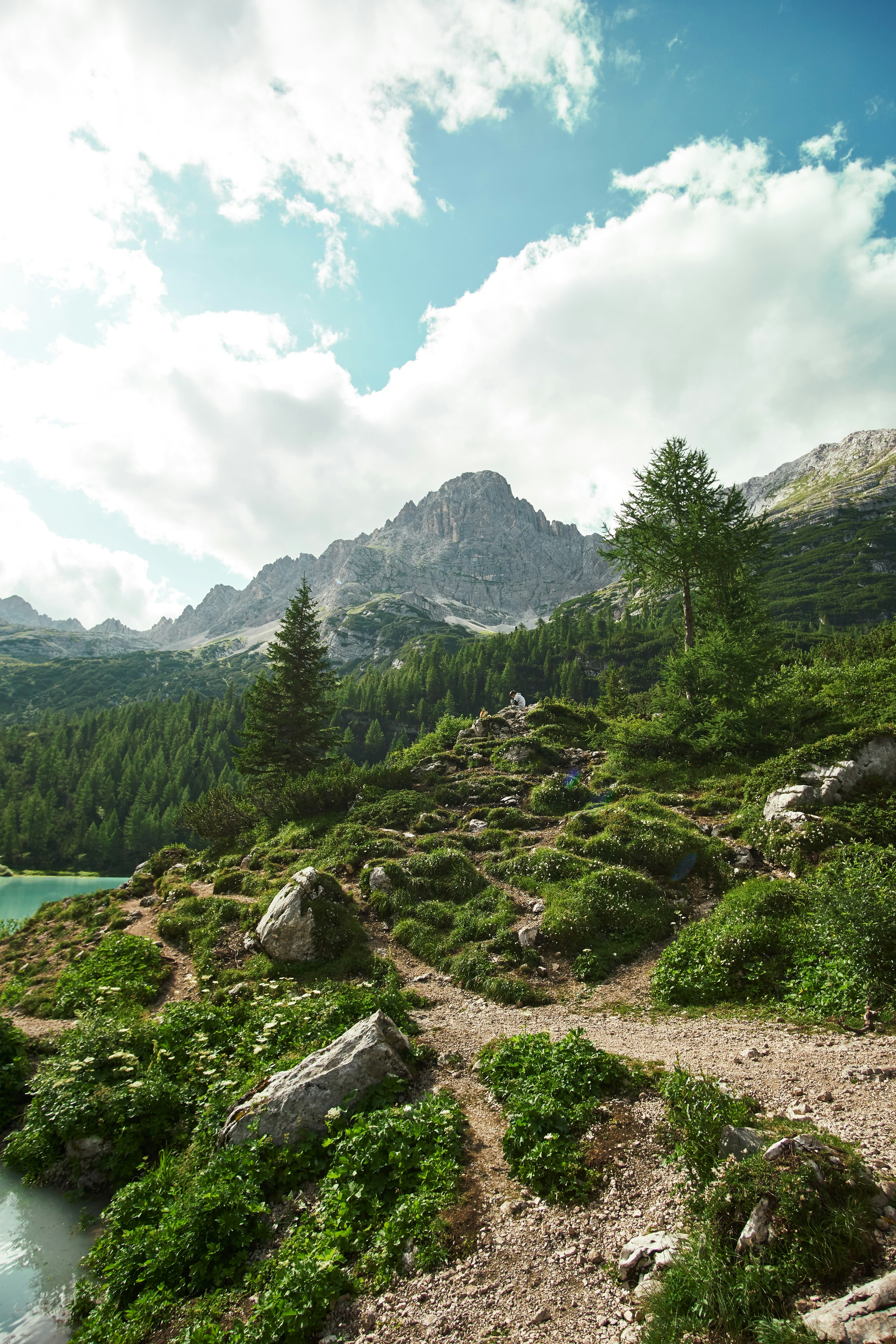 visualize geojson & qgis spatial joins 🦕