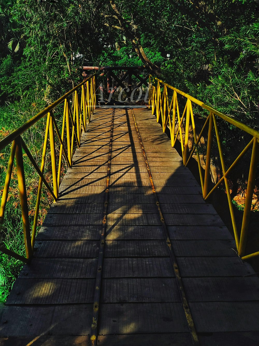 trees beside brown and yellow bridge