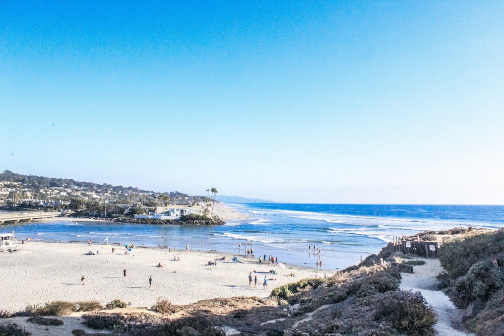 people on seashore during daytime