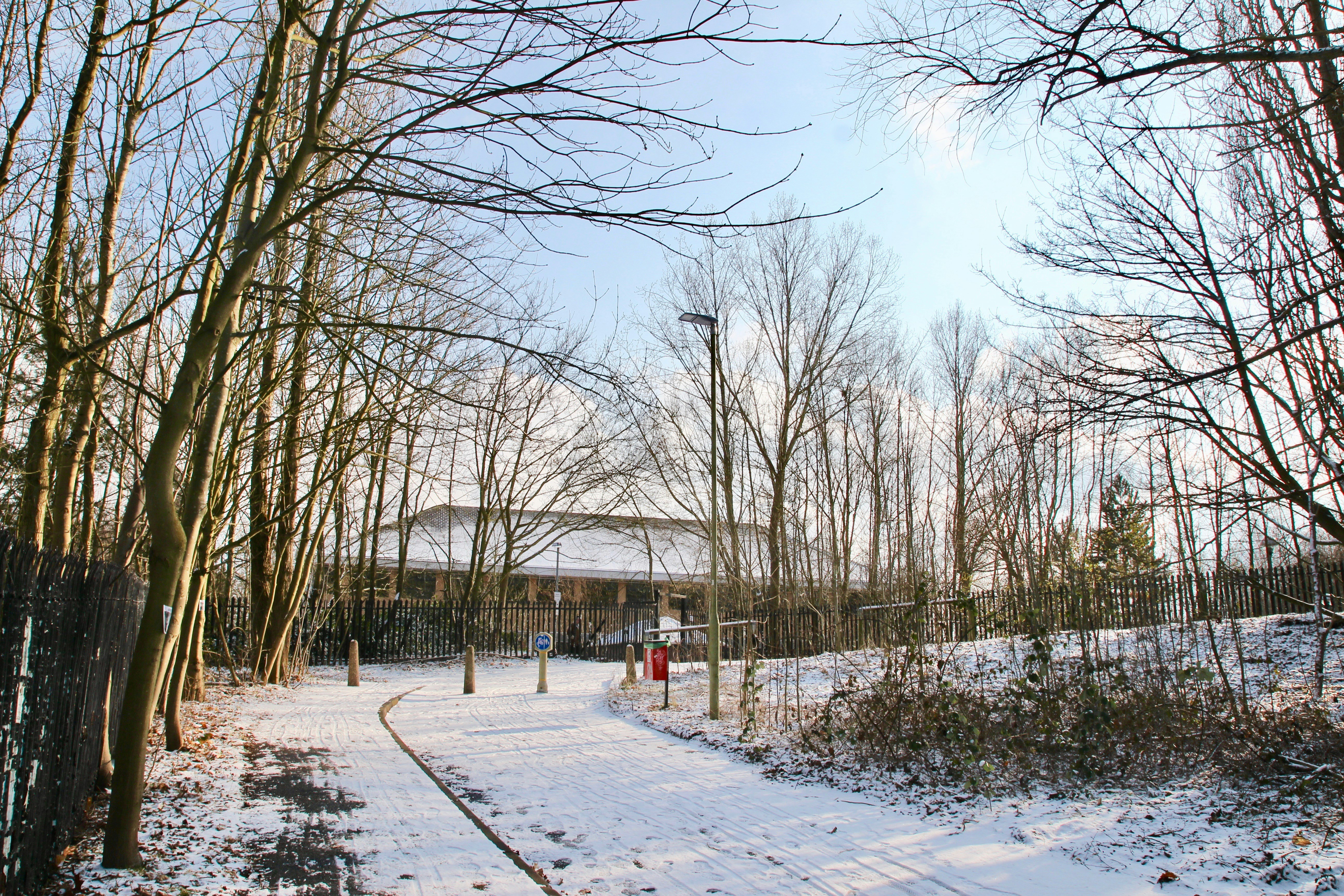 How Age and Education Affect MS Cognitive Tests for Kids