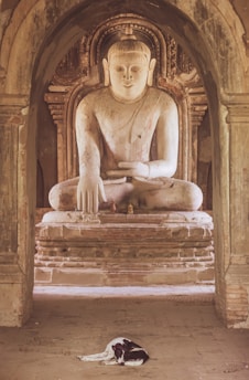 Aloka, the peace dog, walking alongside Buddhist monks during their pilgrimage across a serene Indian landscape.