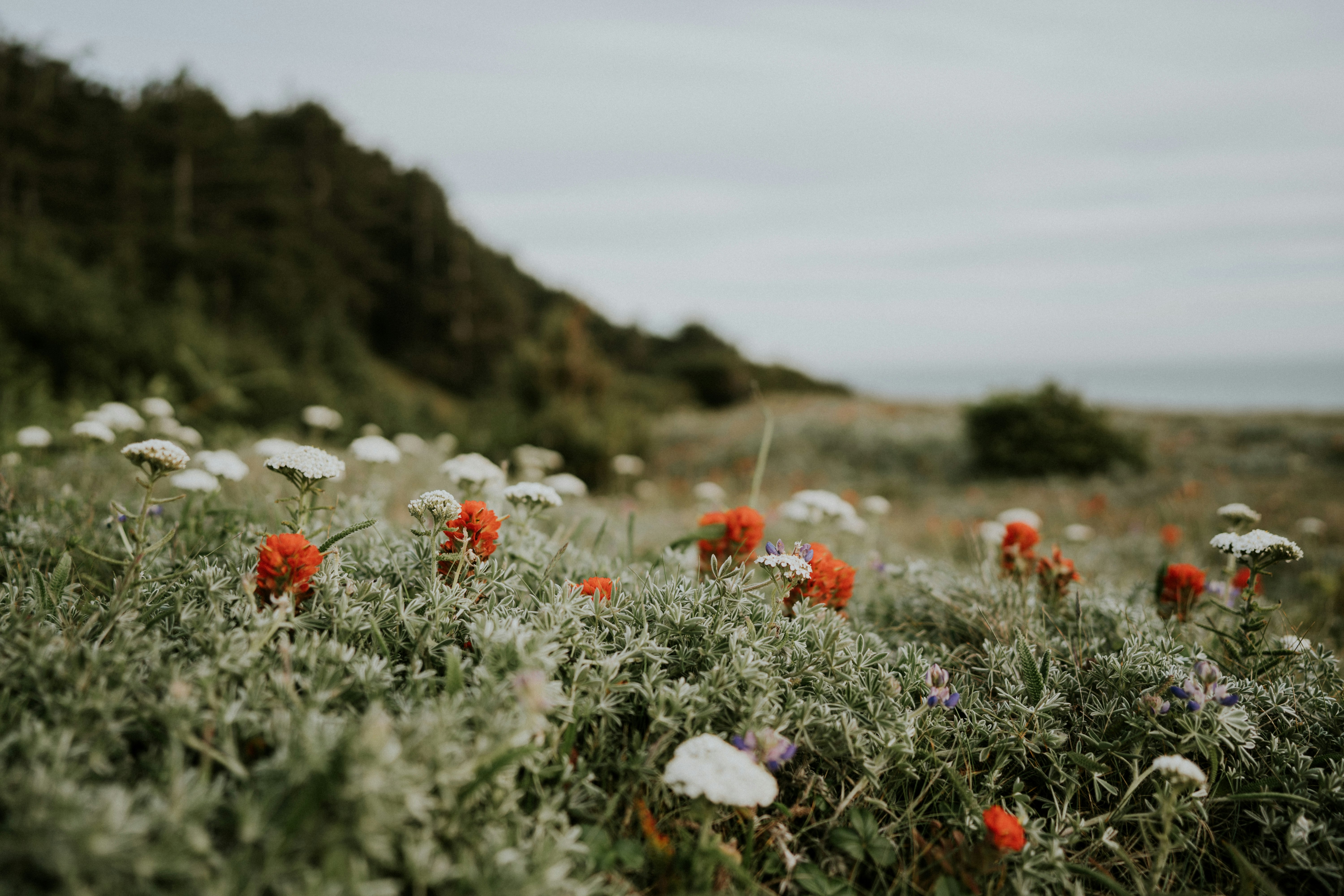 Photo de h muet par Katie Drazdauskaite