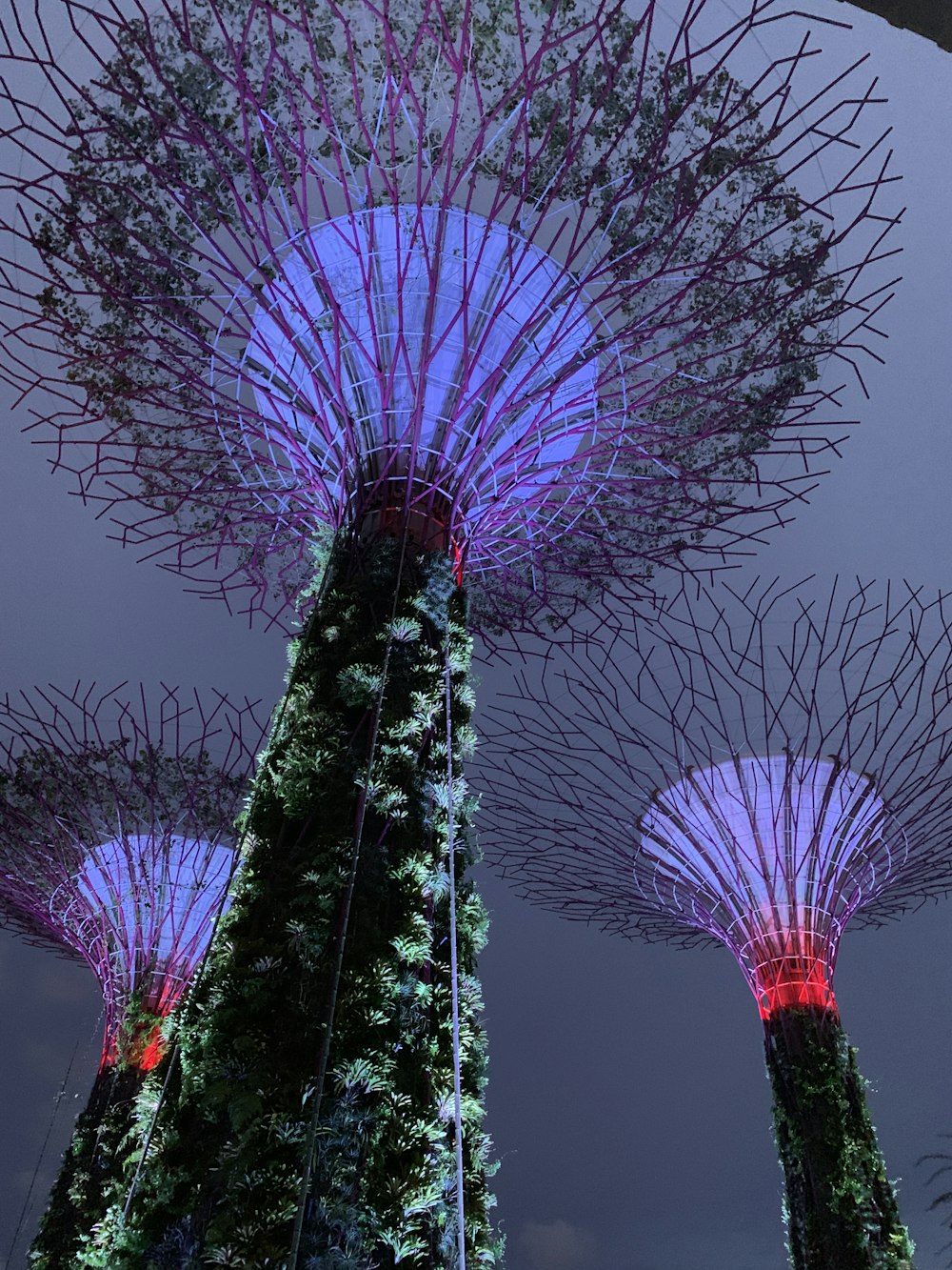 Gardens by the Bay