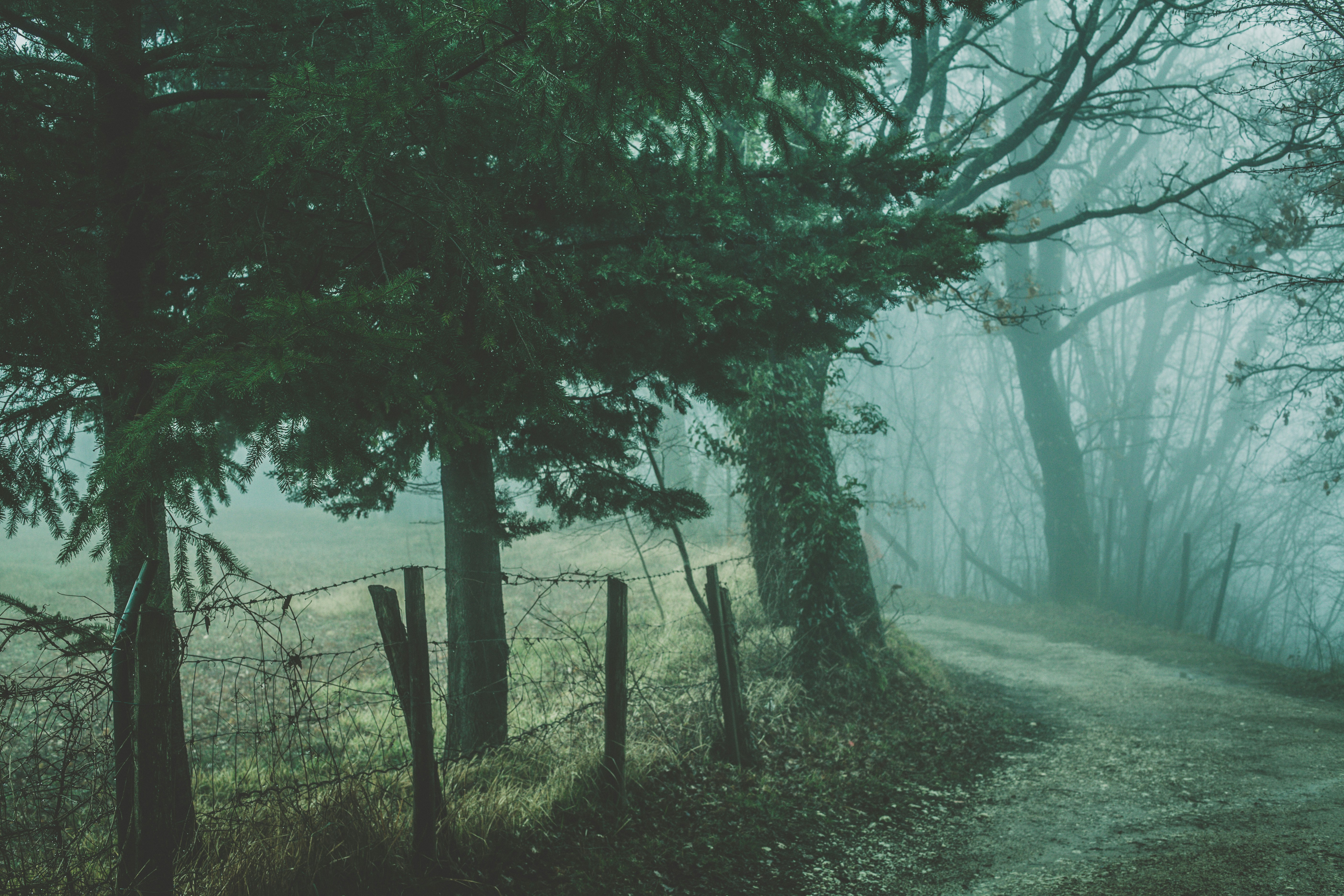 25 Haunting Silent Hill Quotes That Will Chill You