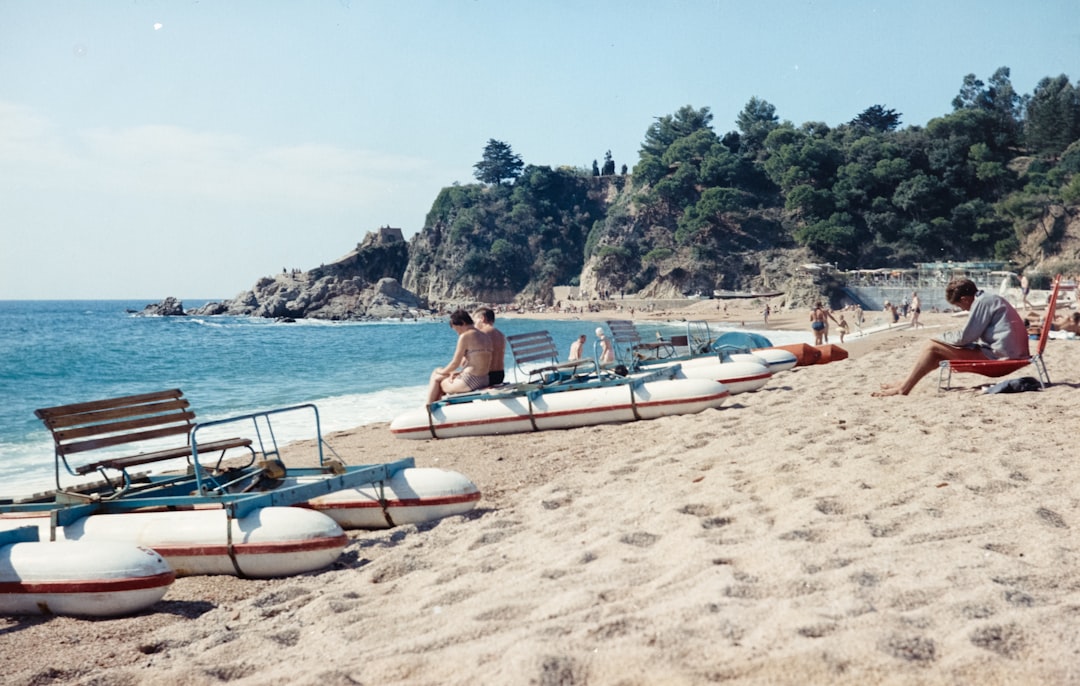 people on seashore during daytime