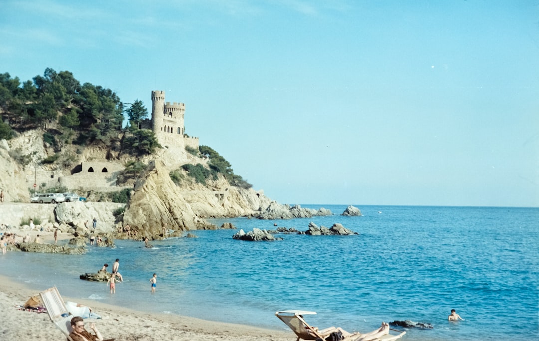 castle on cliff near body of water at daytime