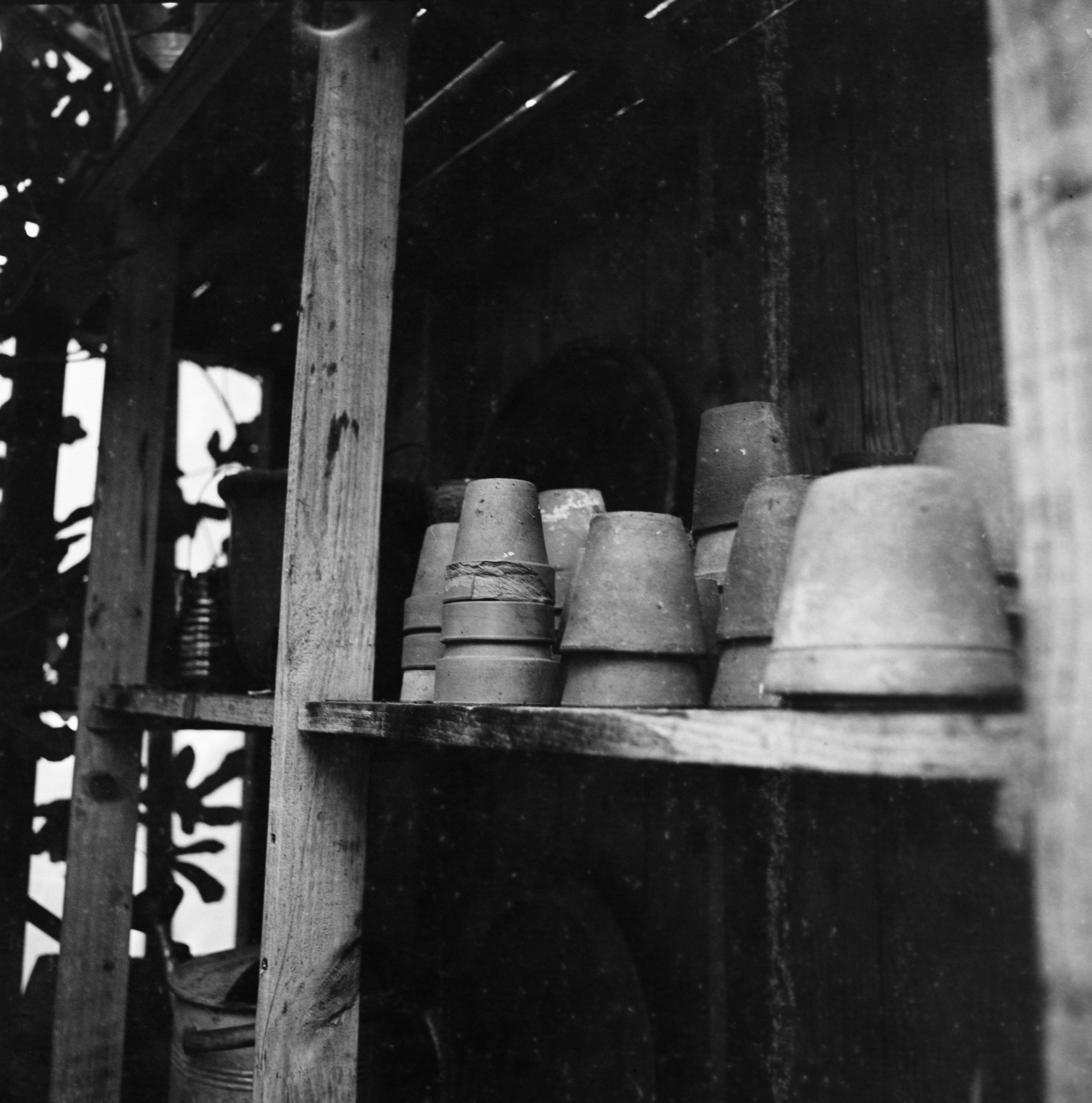 Photo by anniespratt