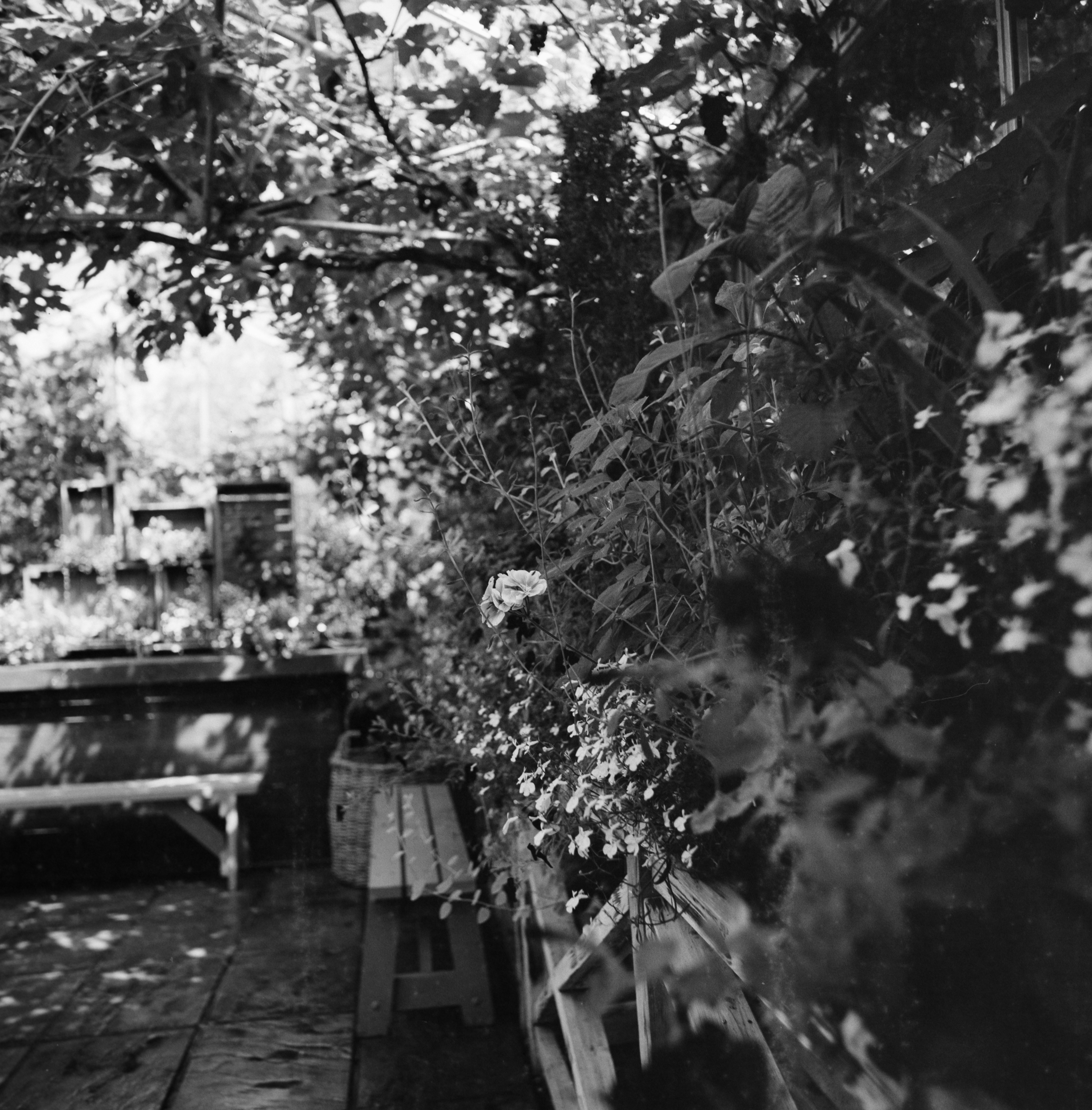 Photo by anniespratt