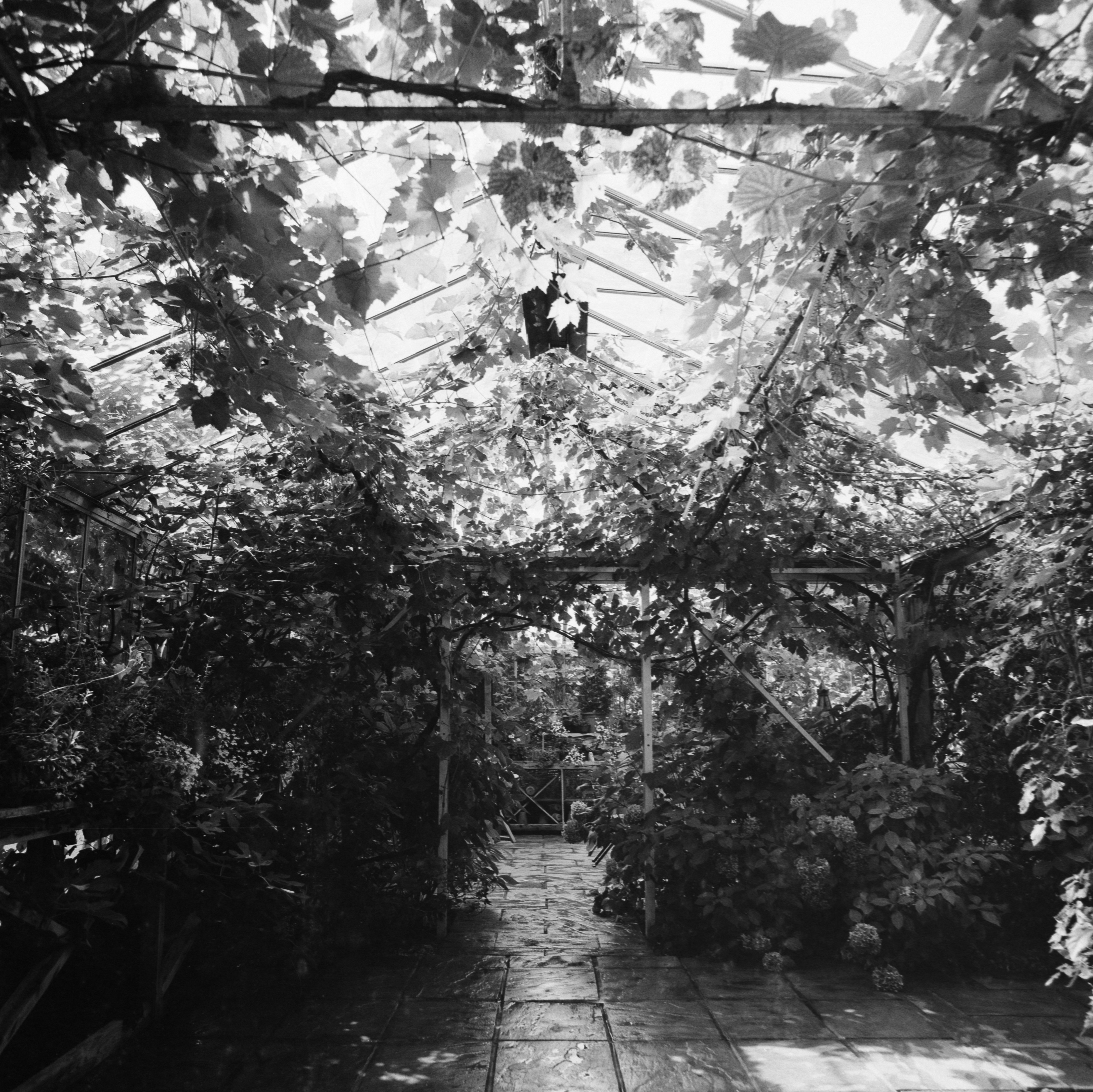 Photo by anniespratt