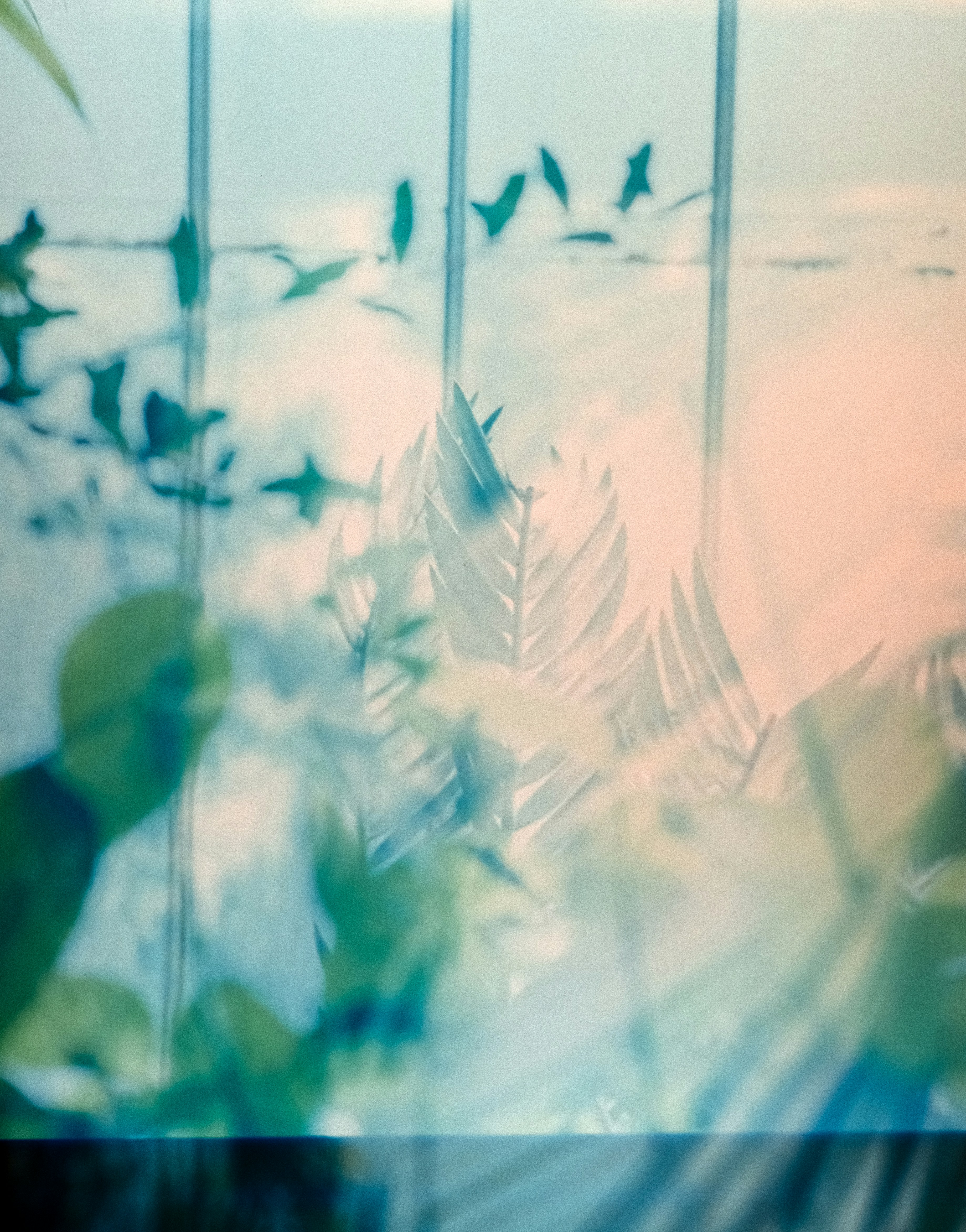 Photo by anniespratt