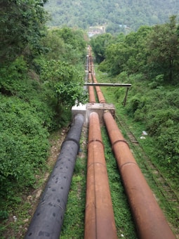 Large industrial pipes extend through a lush, green forested area. The pipes are rust-colored and black, running parallel to each other along a narrow, cleared path in the dense vegetation. Trees and shrubs surround the area, with a distant structure visible at the far end of the pipes.