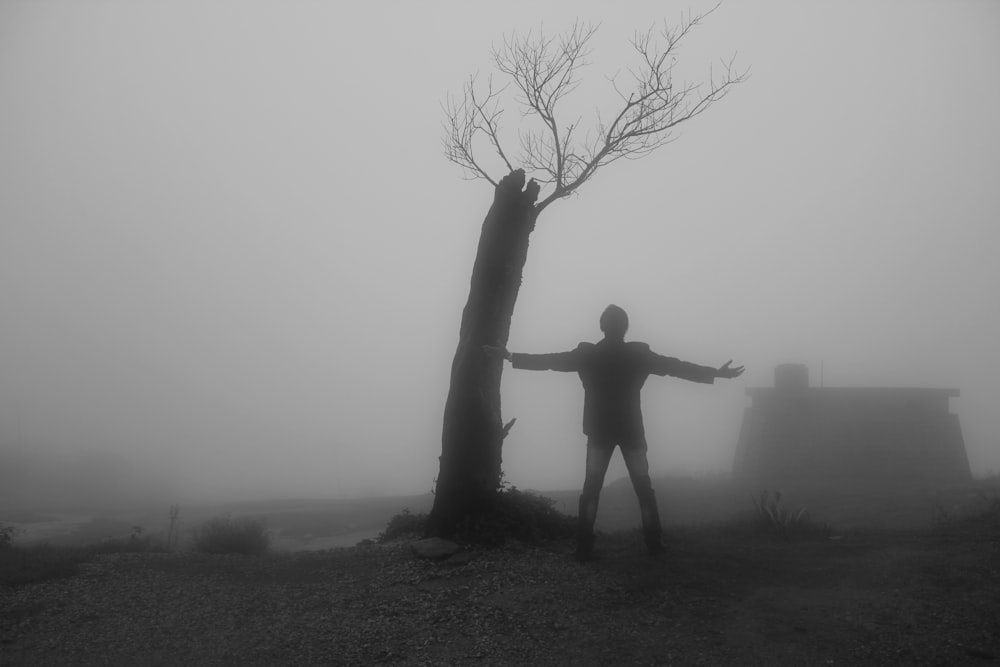 silhouette of man and bare tree