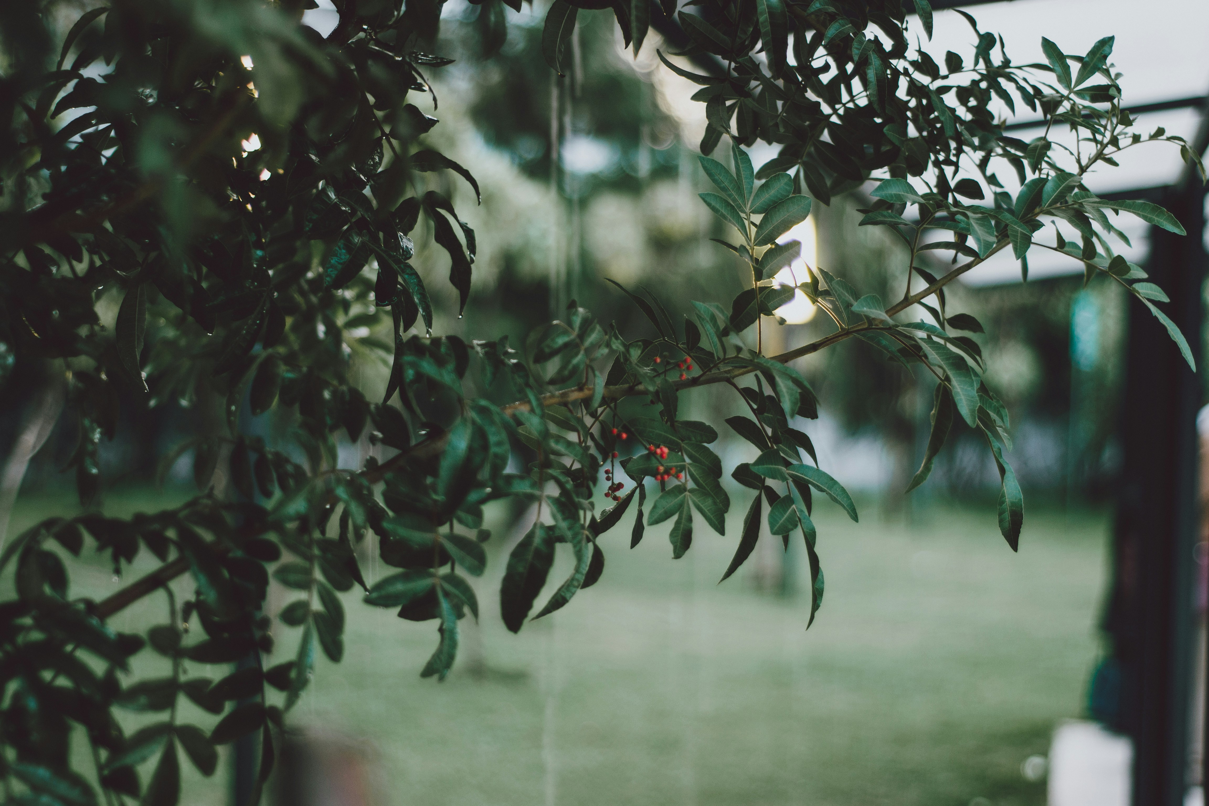 Photo by nielslyhne_kohan