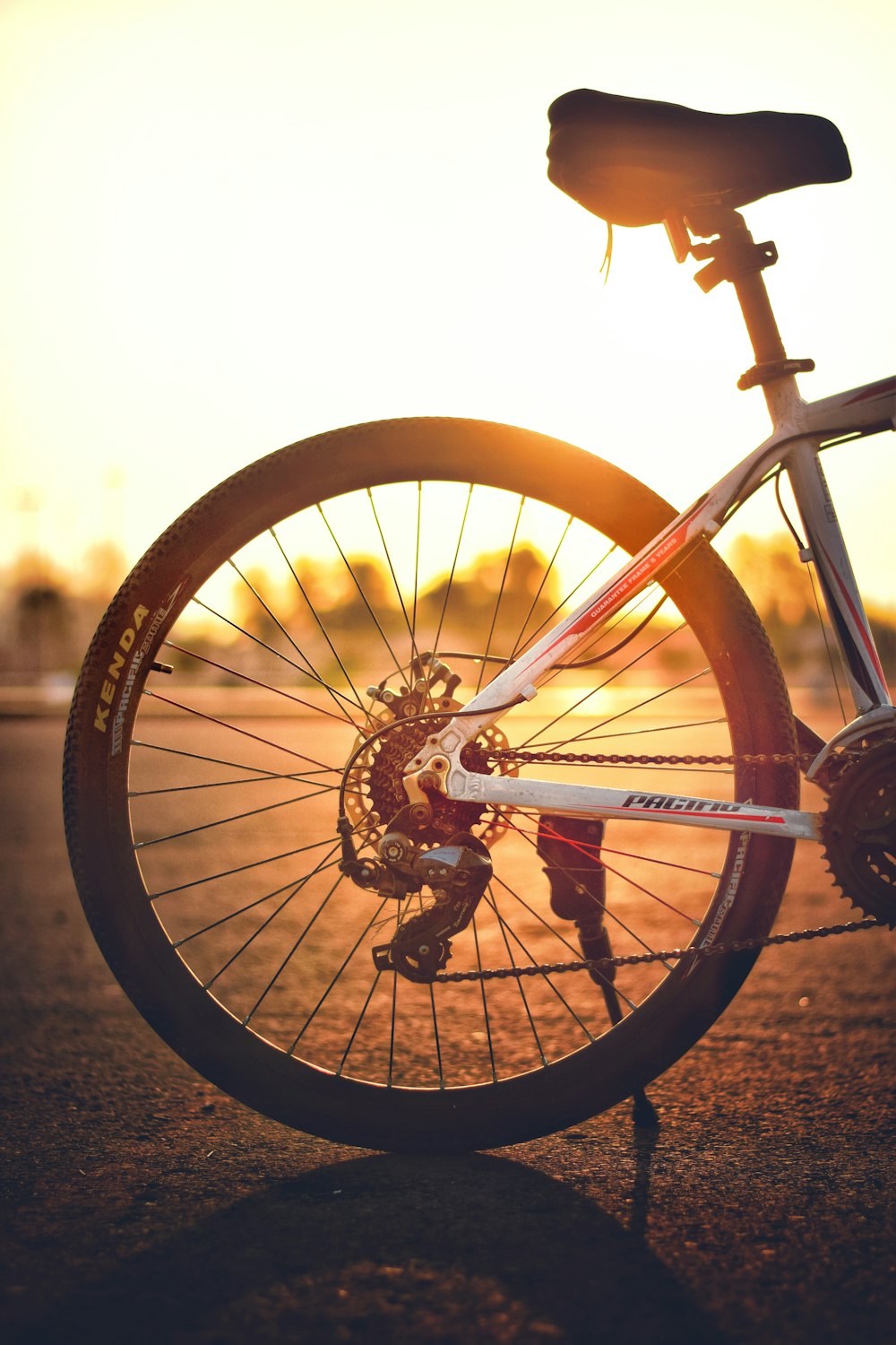 white bike park on pavement under the heat of the sun