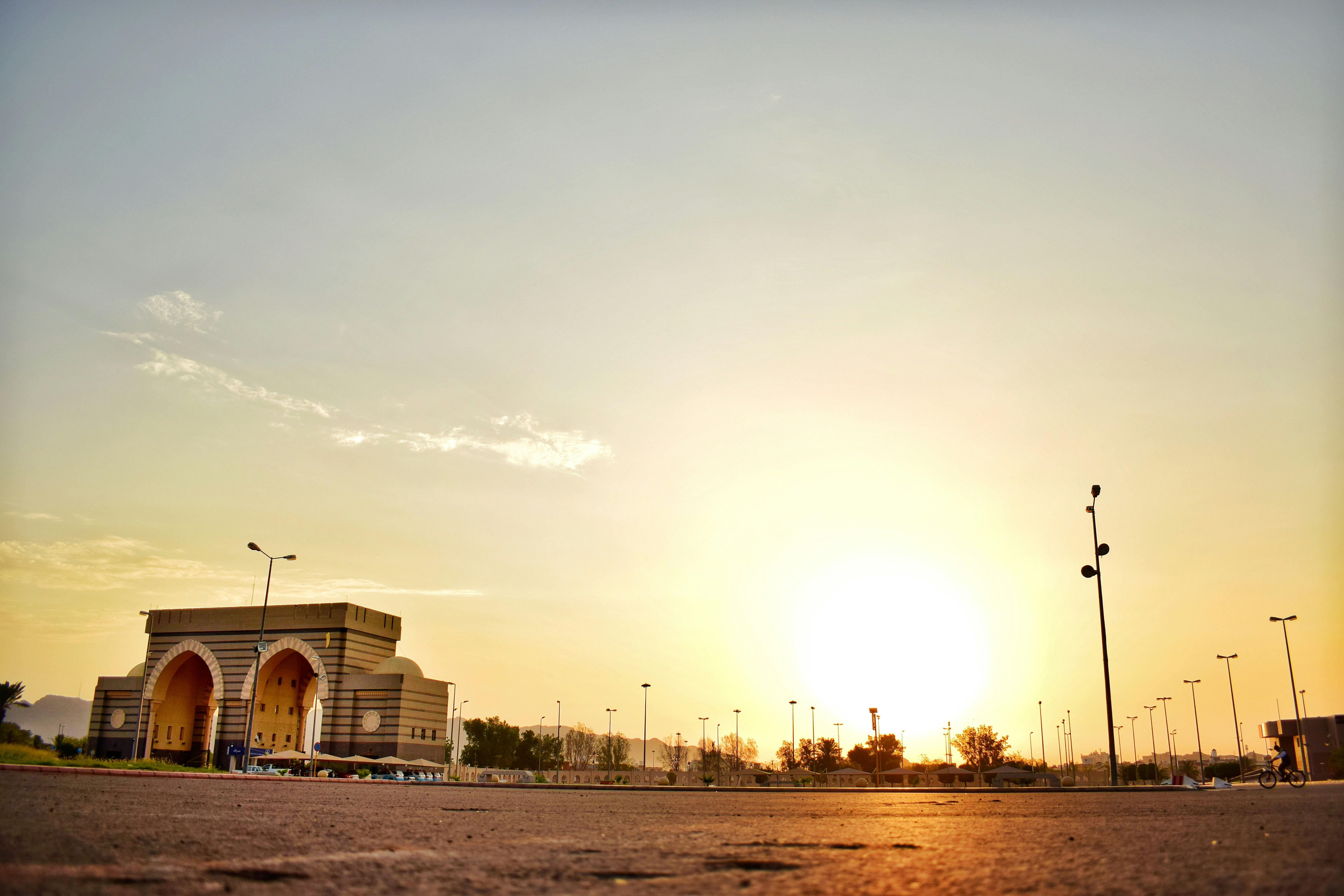 beige field under golder hour