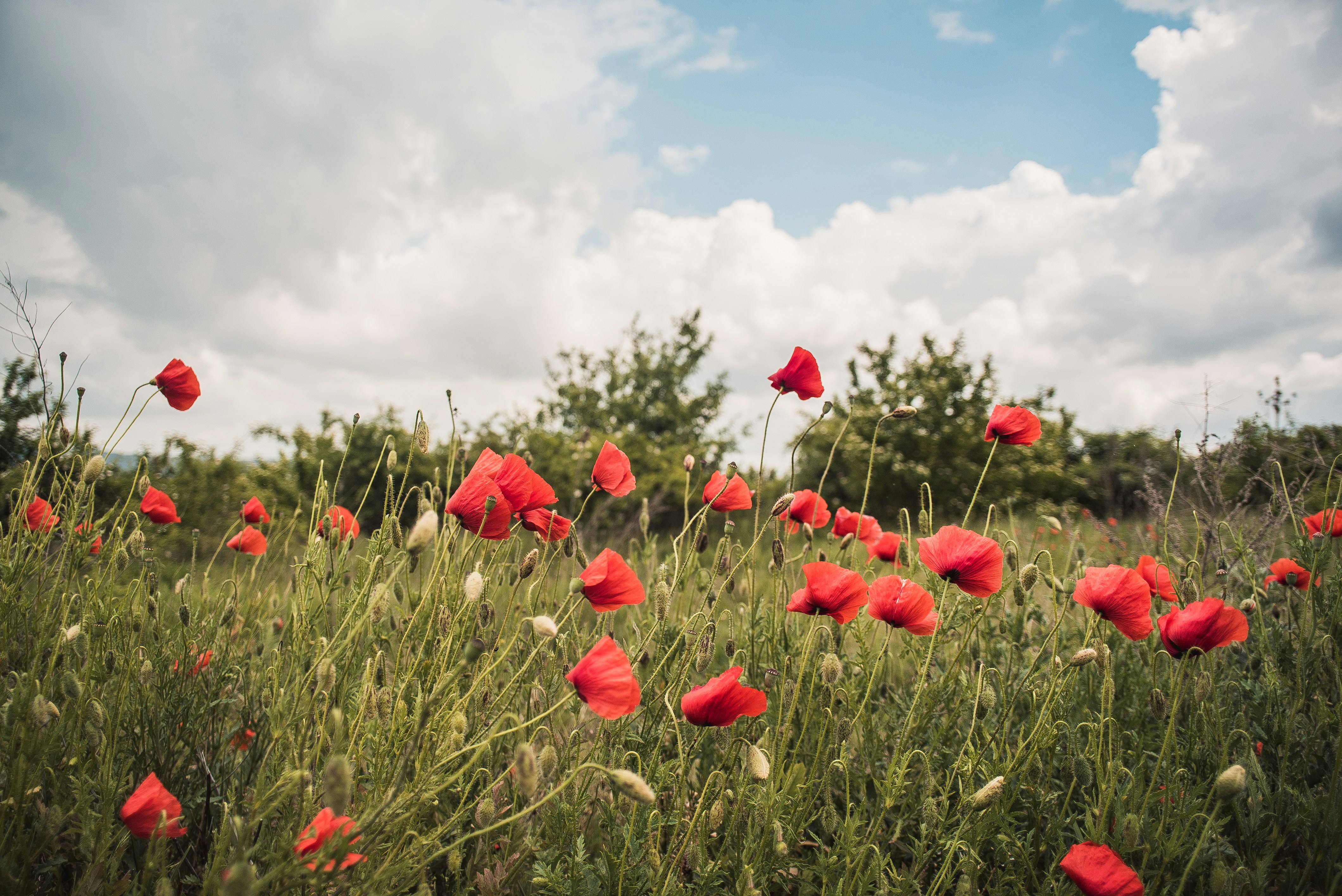 Photo by stockticker