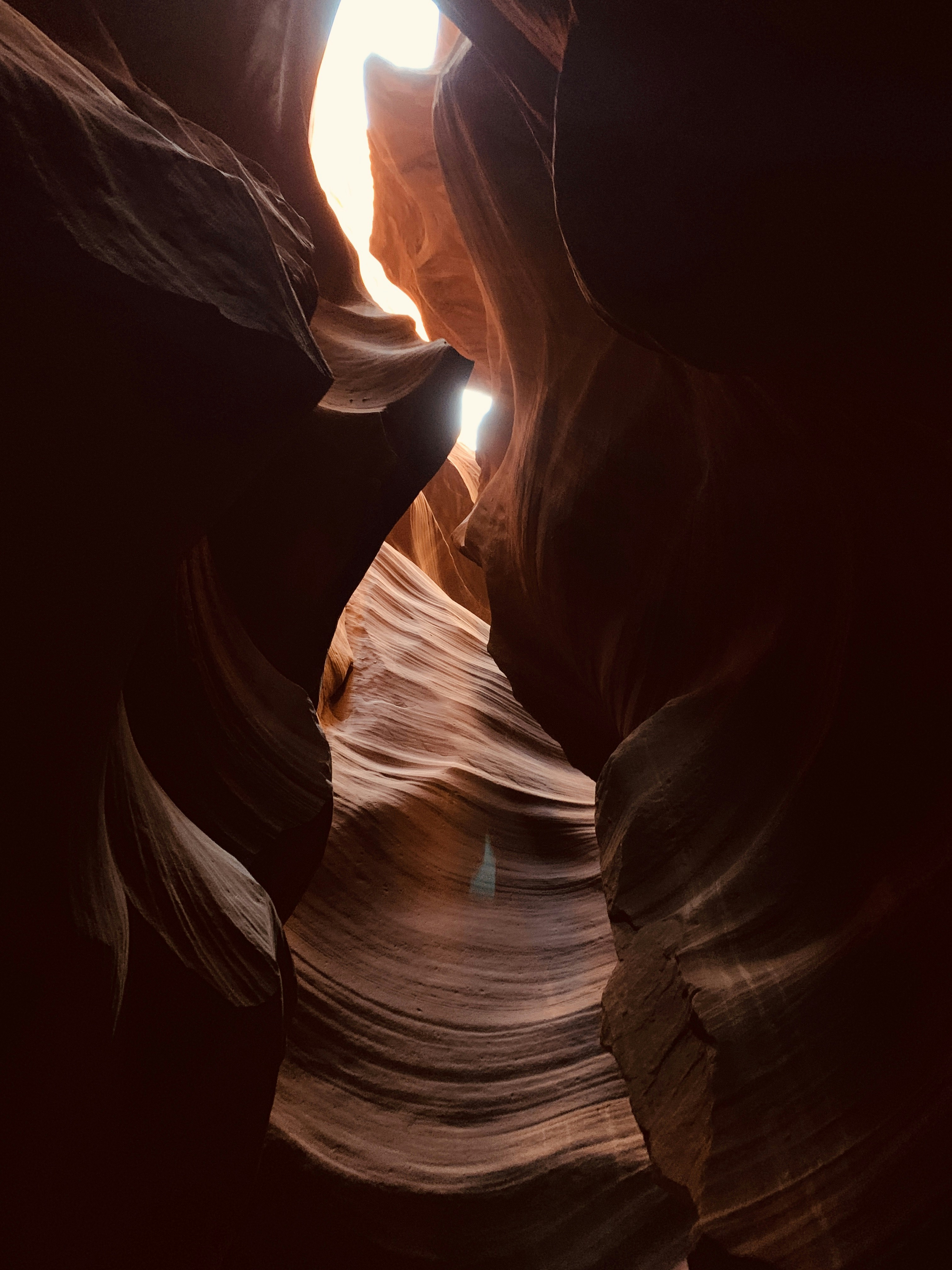 Photo by carmelrossen