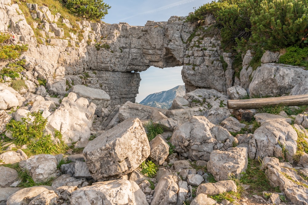 brown rock formations near plants during daytime