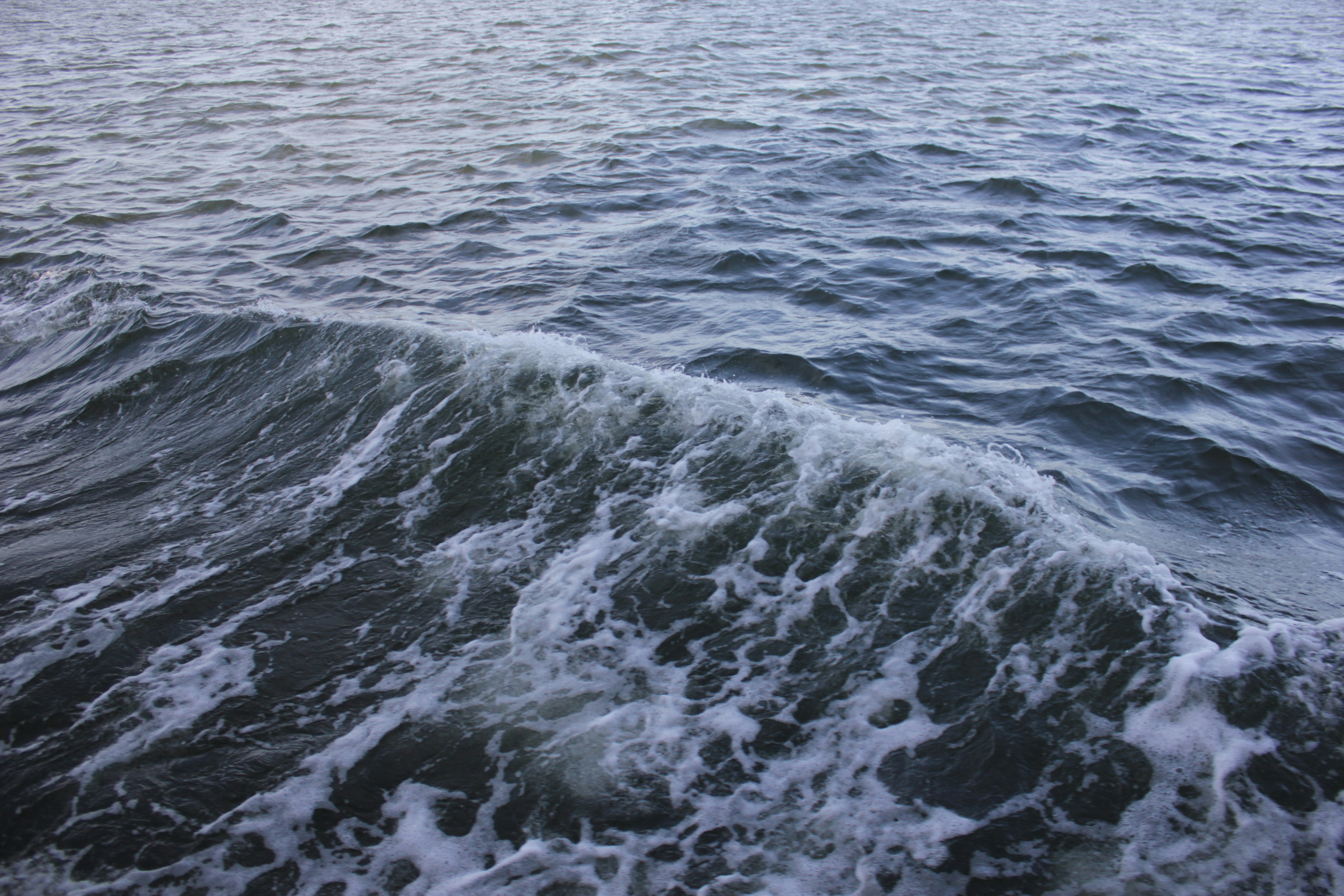 Photo by lukaskokkonen