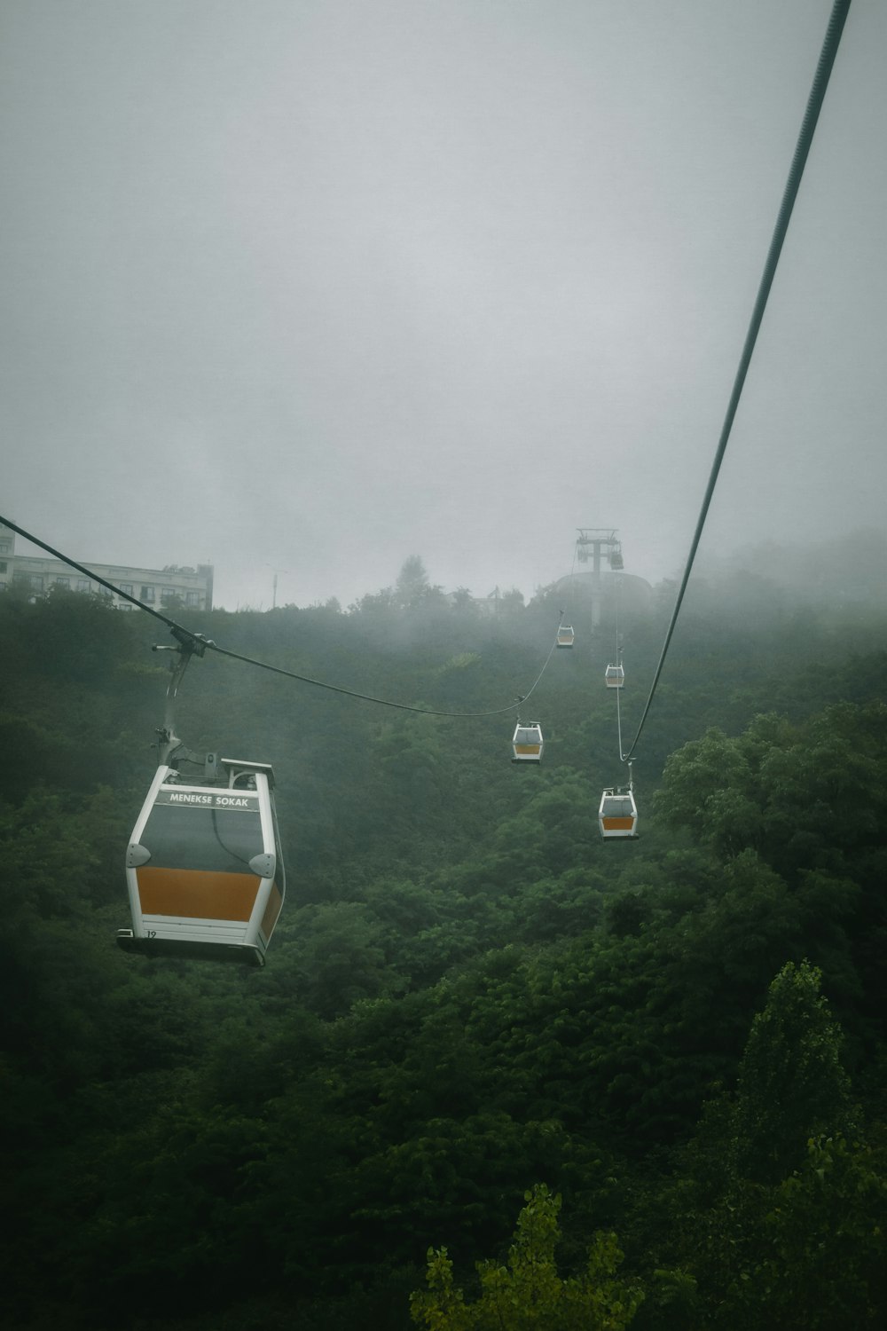 cable cars at daytime