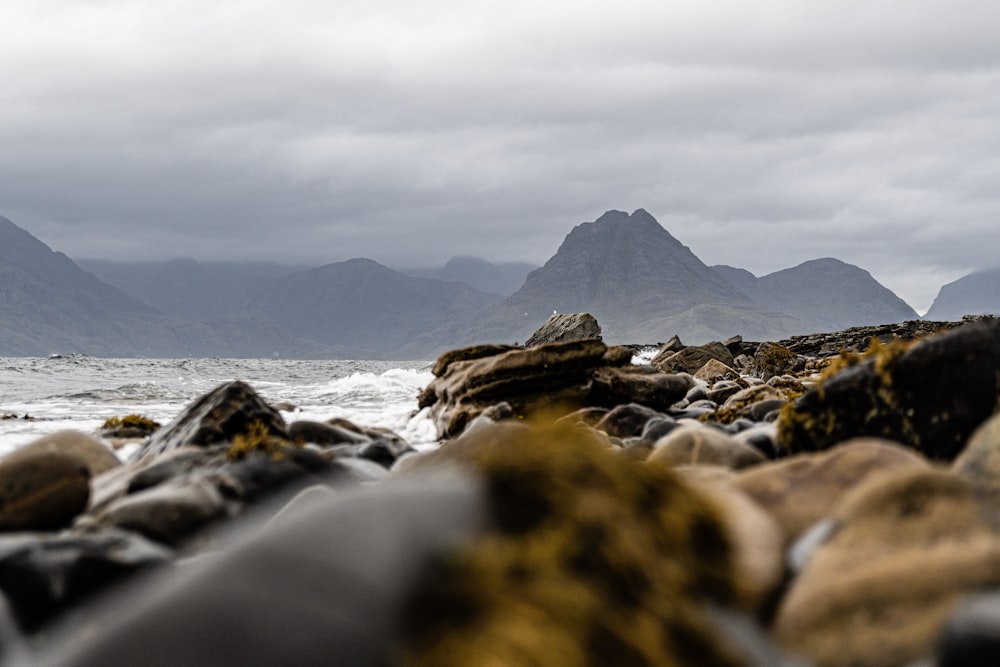 rocks beside body of water during daytime