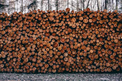 pile of fire woods at daytime