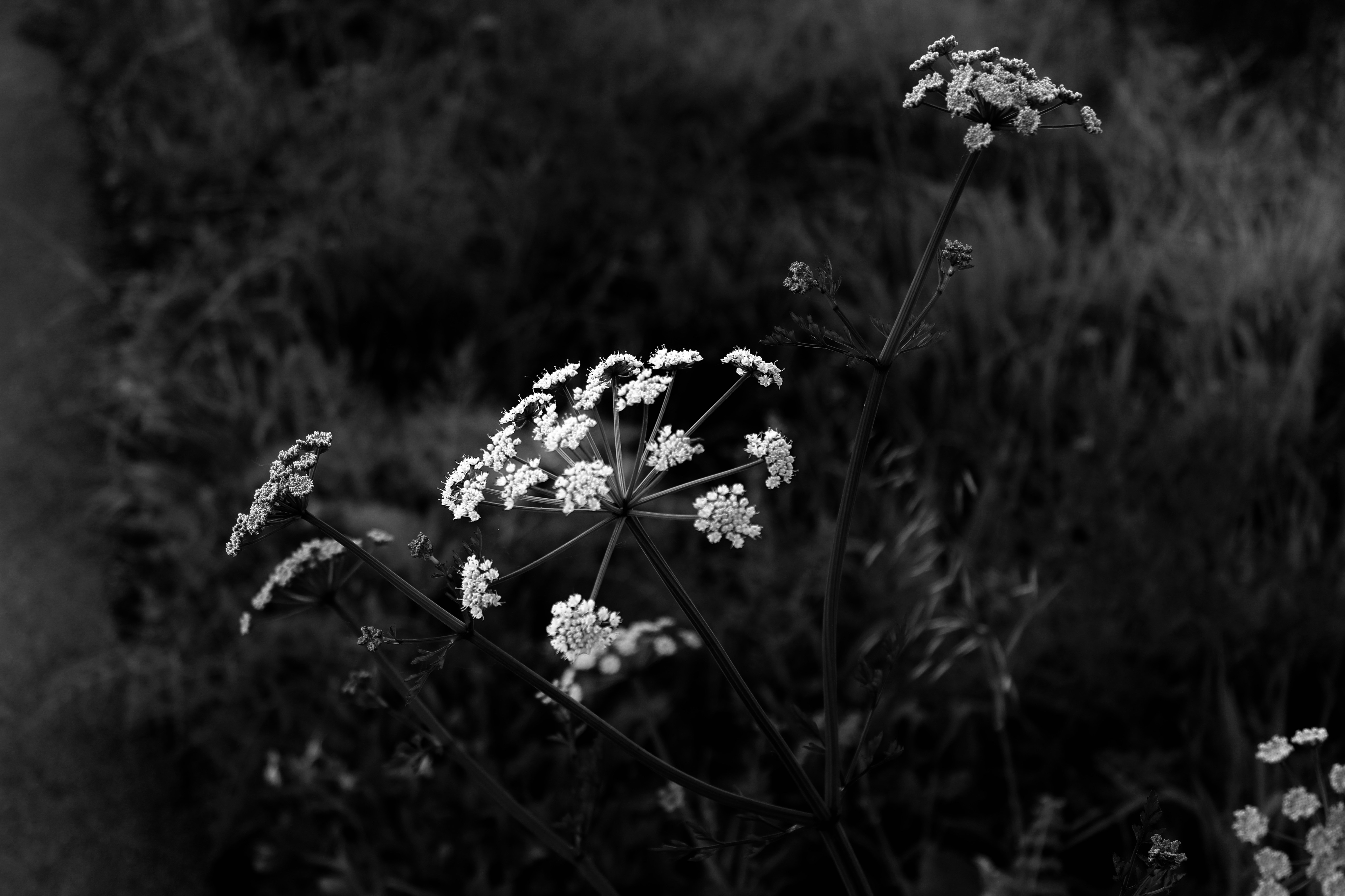 Photo by noegarciar_