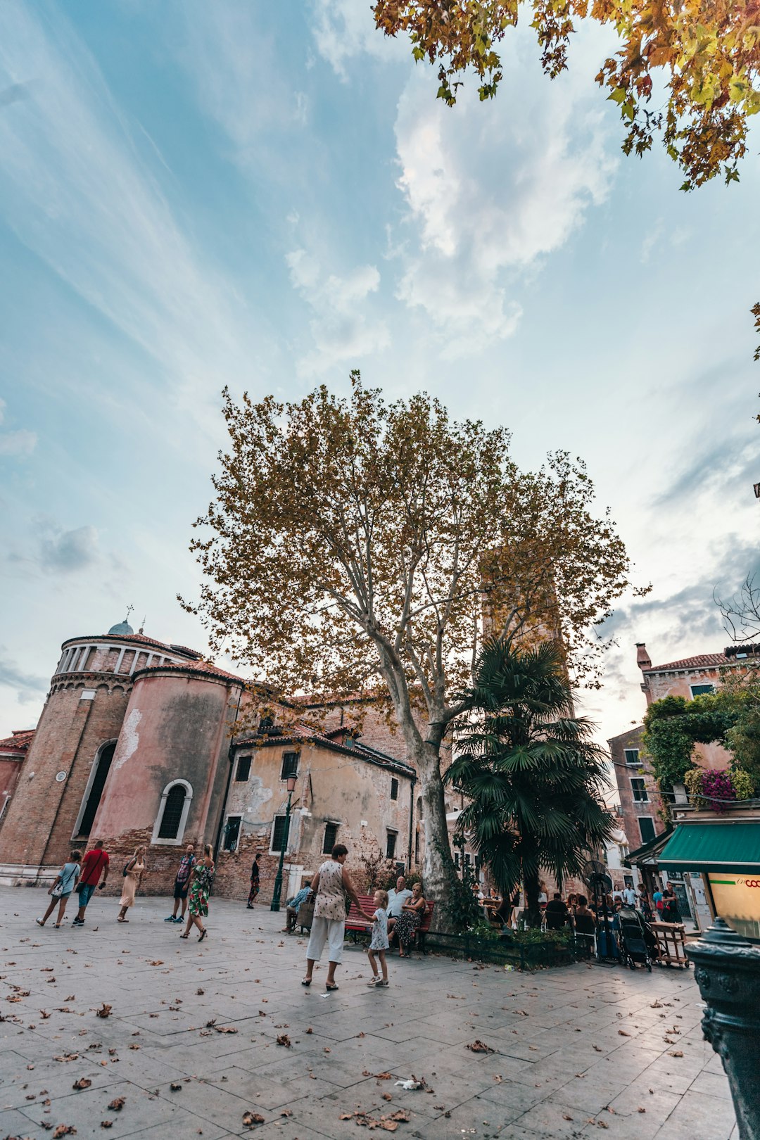 people standing near tree