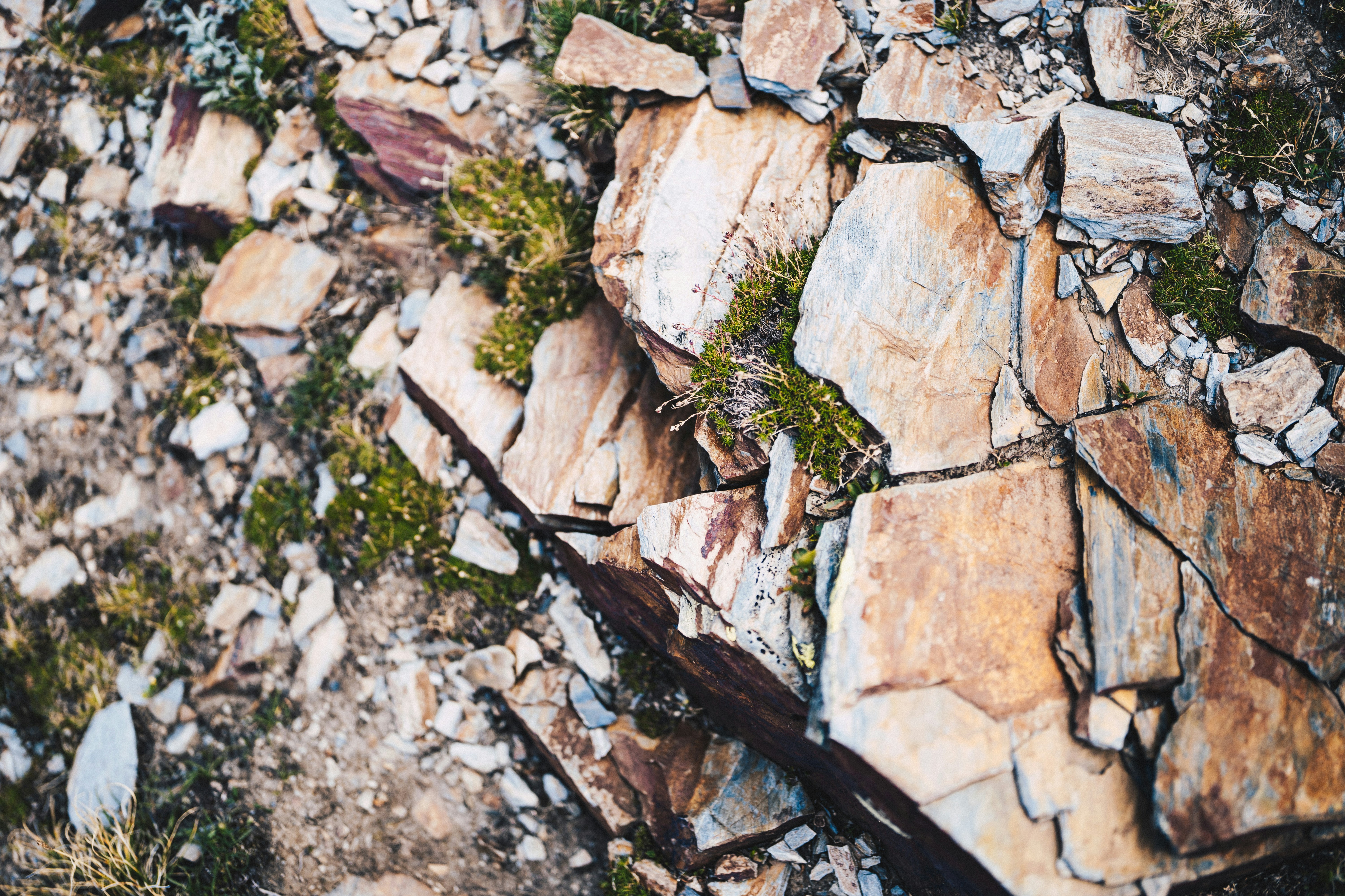 Photo by ballaschottner