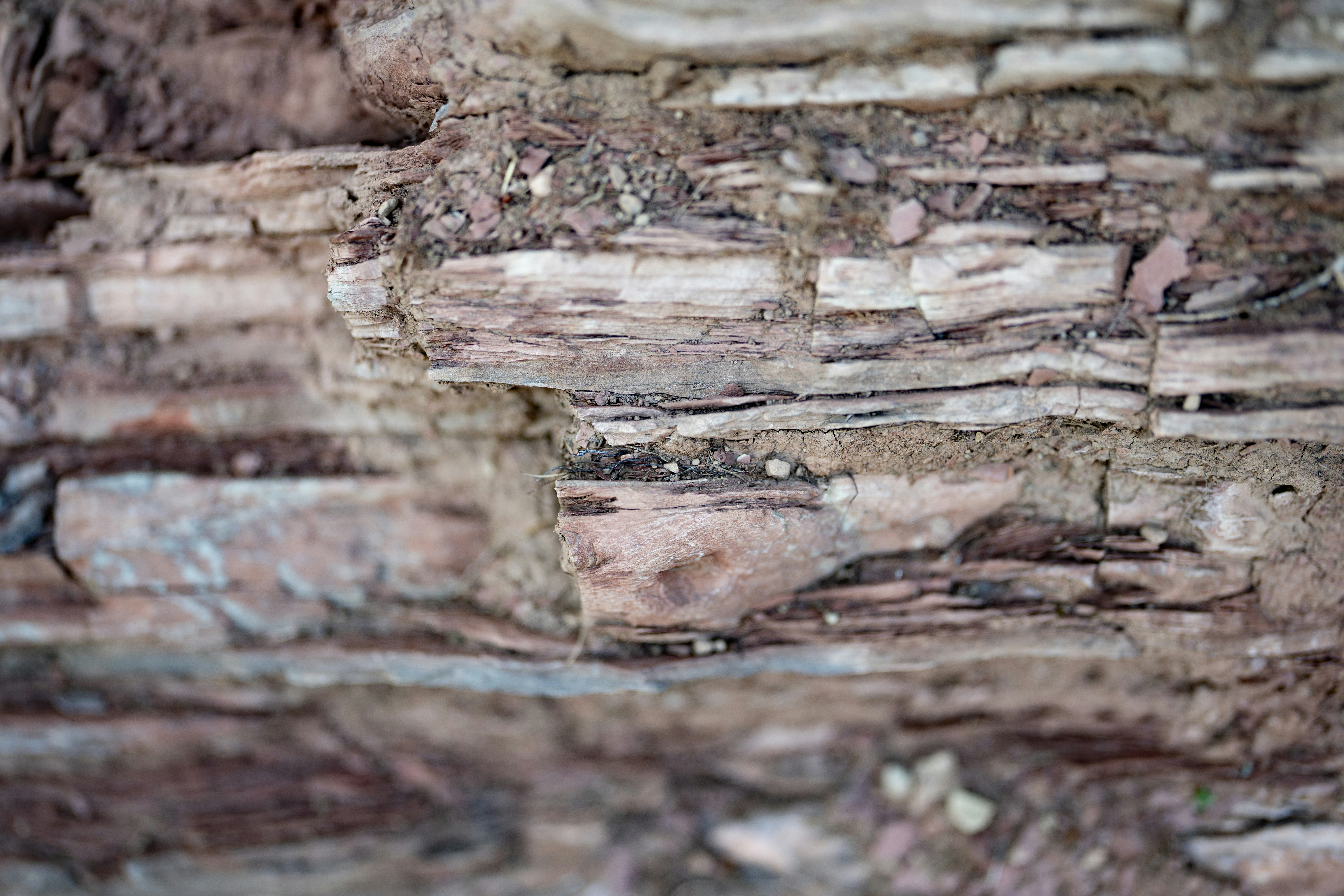 Photo by ballaschottner