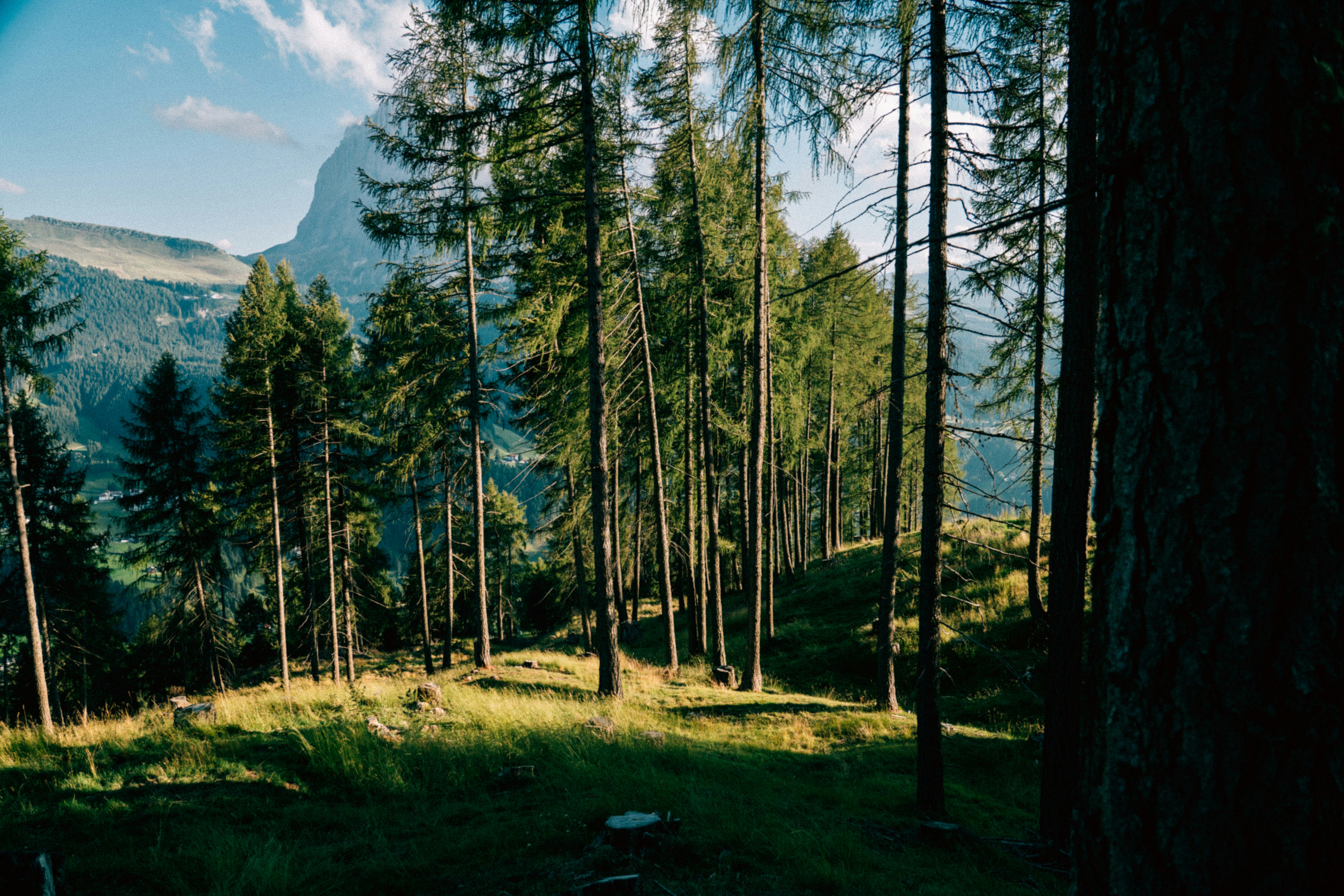 Photo by ballaschottner
