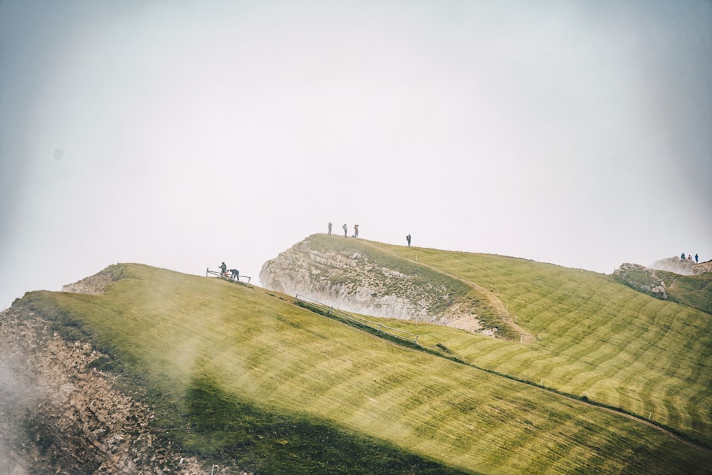 people on mountain cliff during daytime