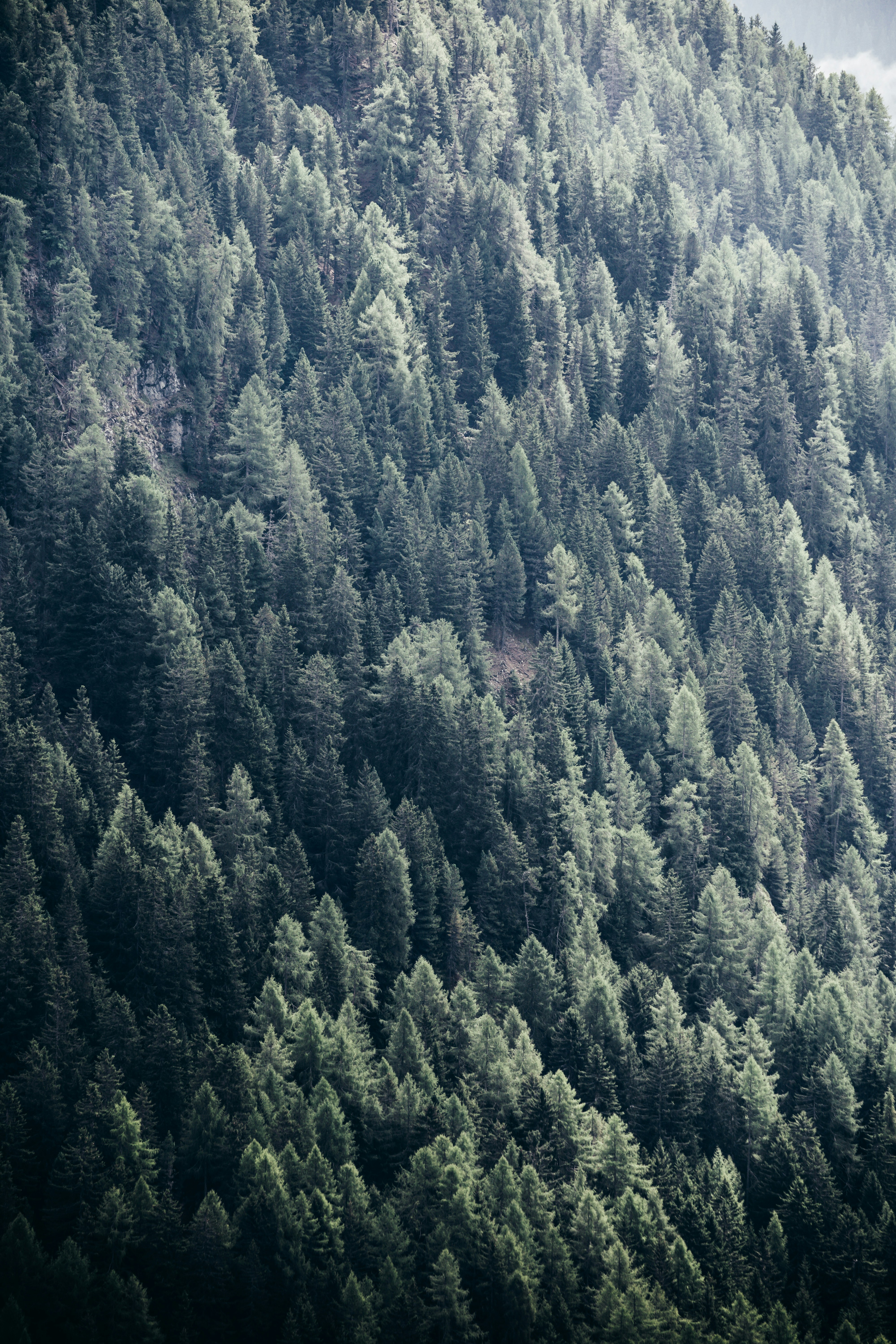 Photo by ballaschottner