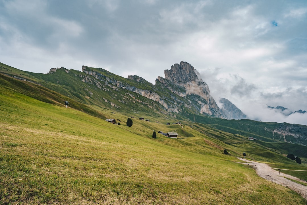 grass field near mountain