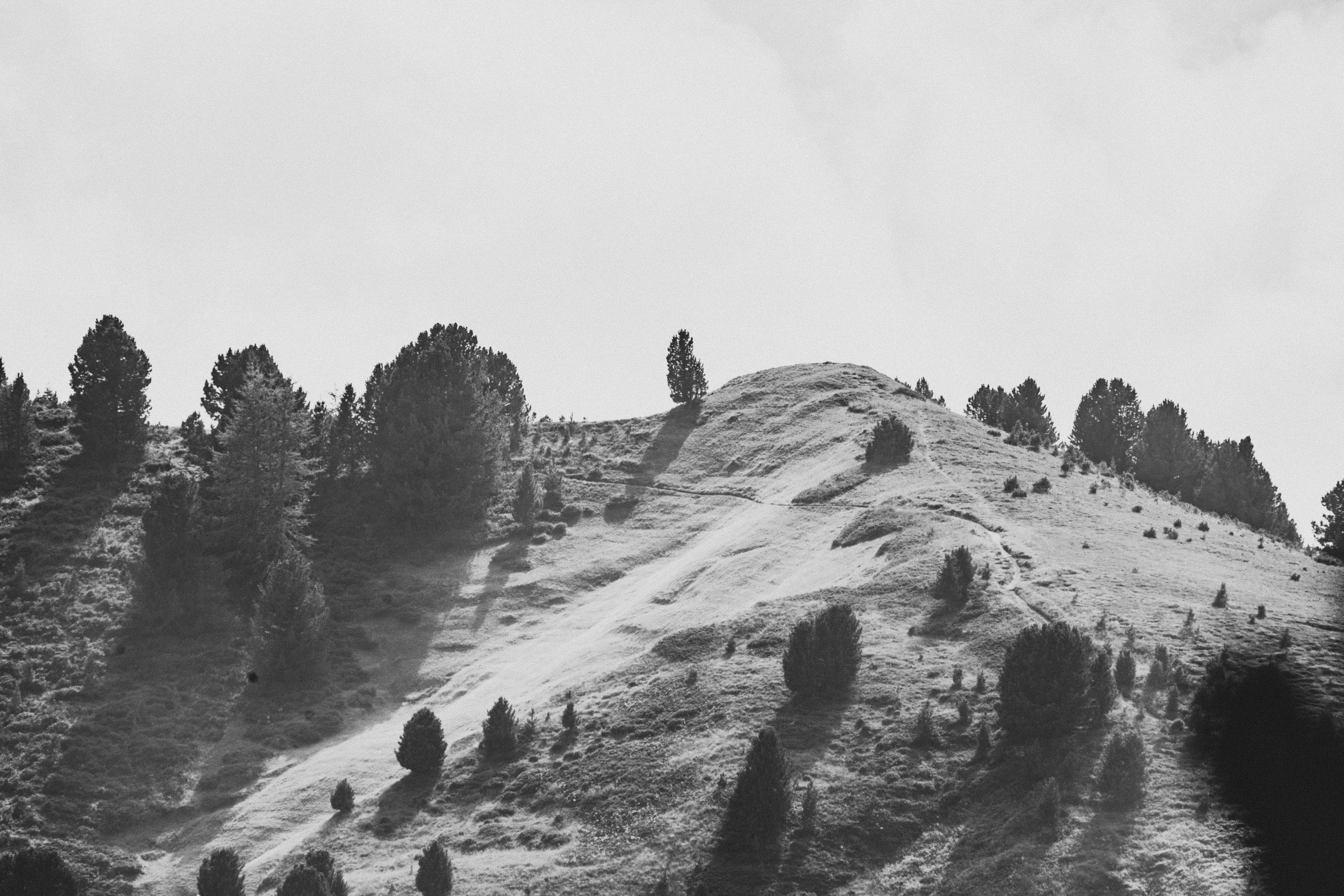 Photo by ballaschottner