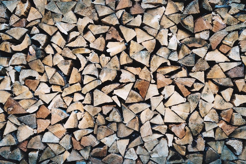 pile of firewood