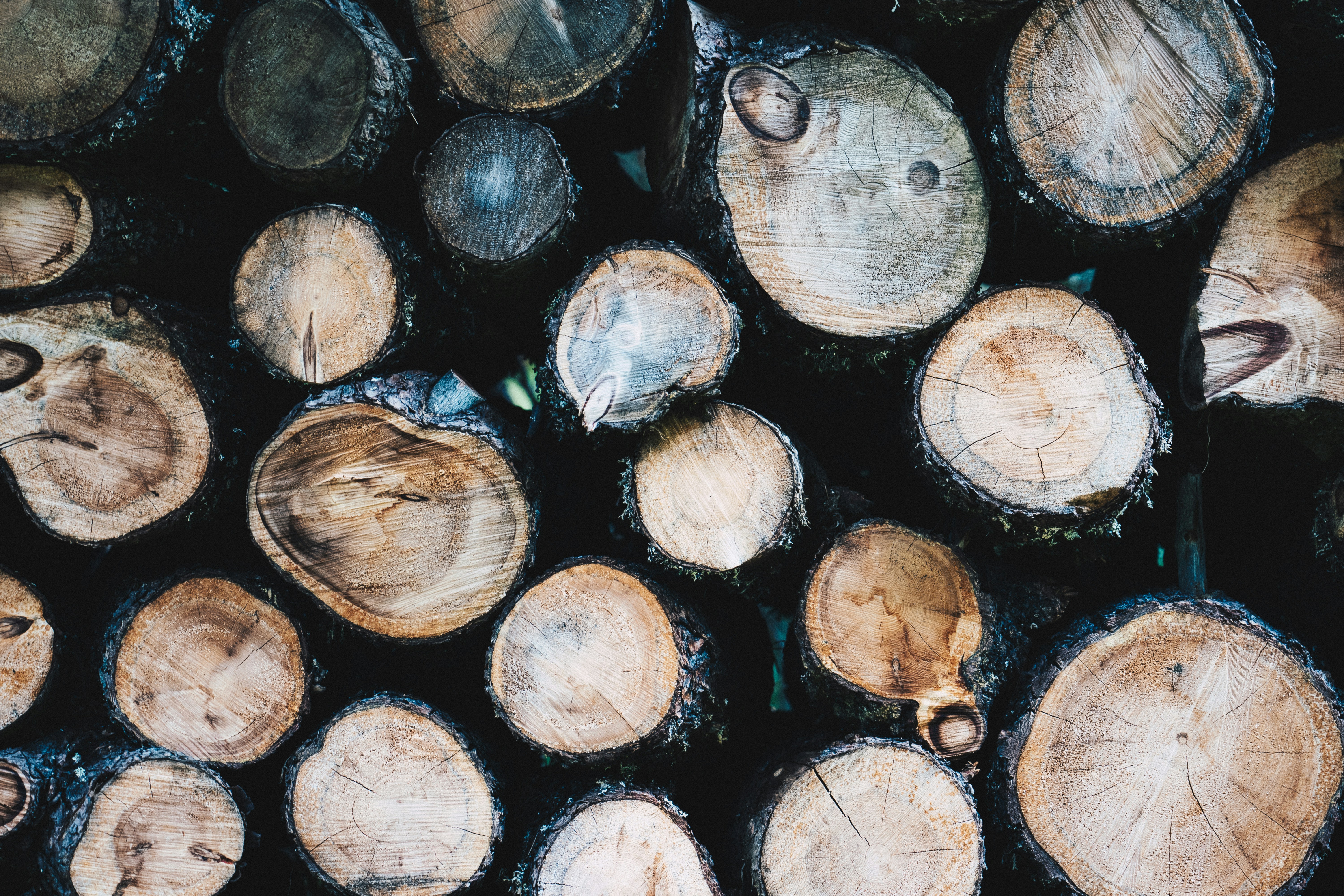 Photo by ballaschottner