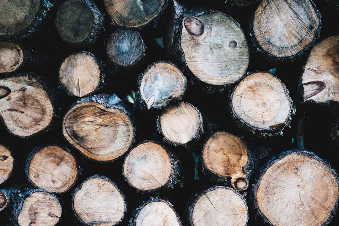 brown and gray logs