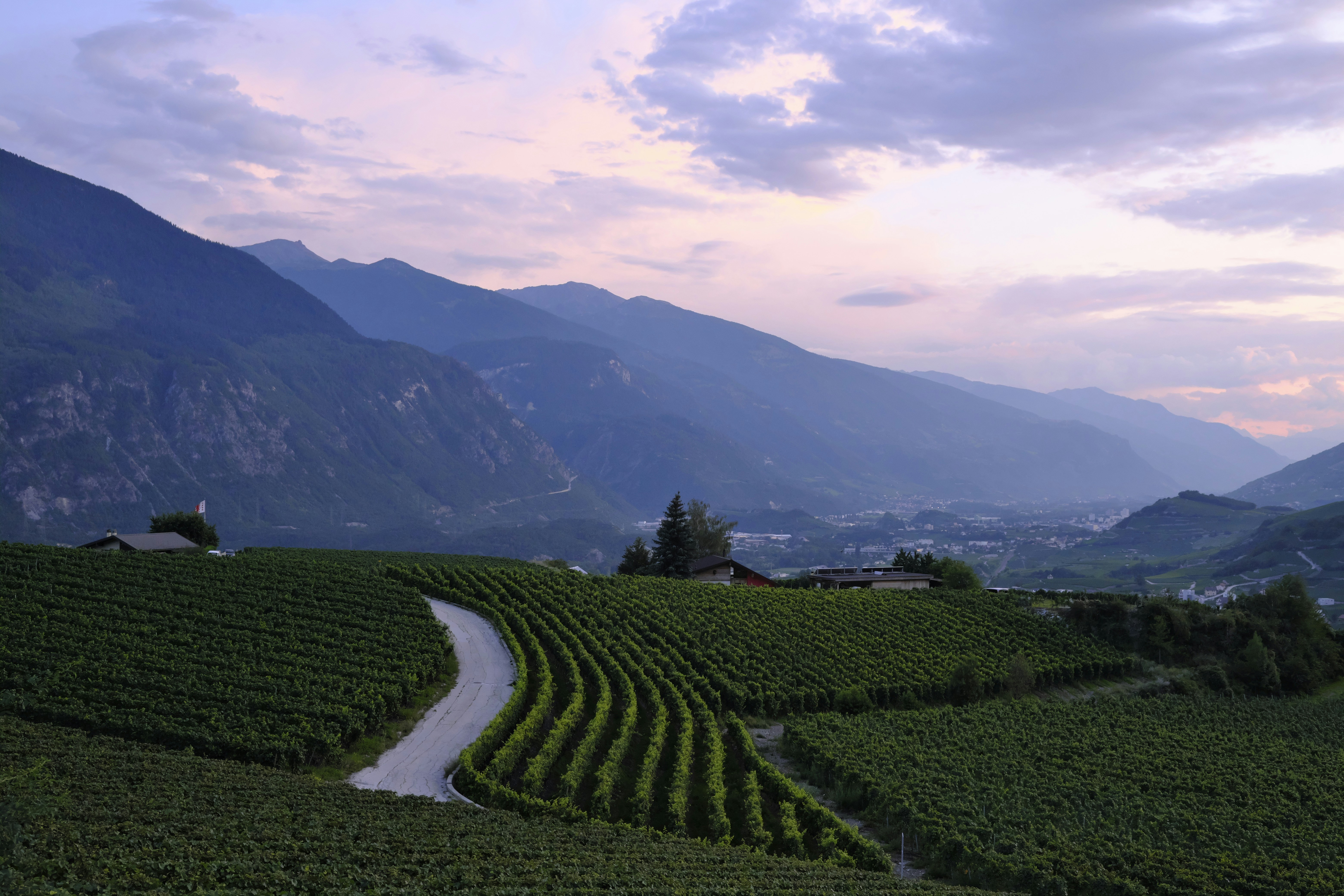 Photo by bullfishfighter