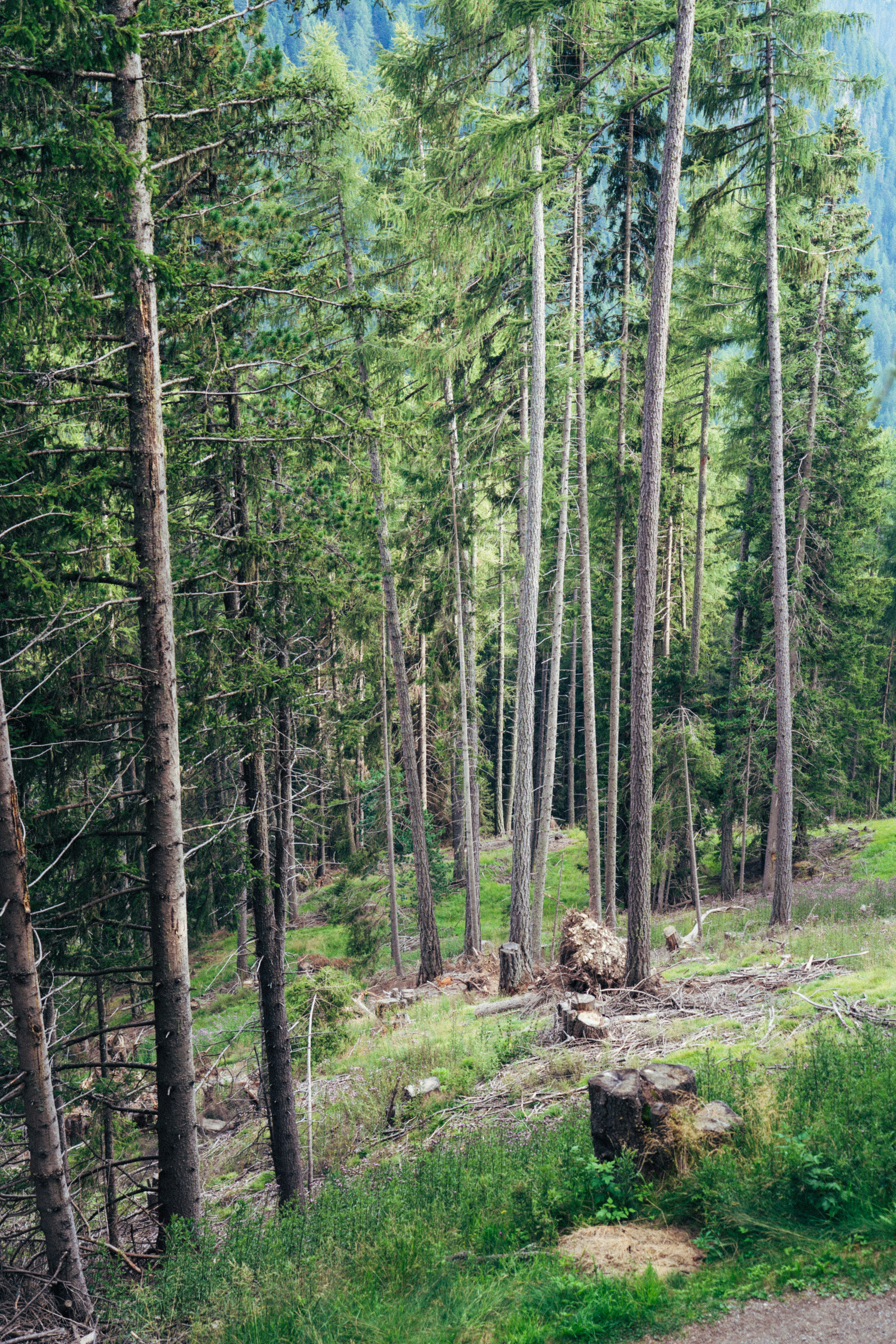 Photo by ballaschottner