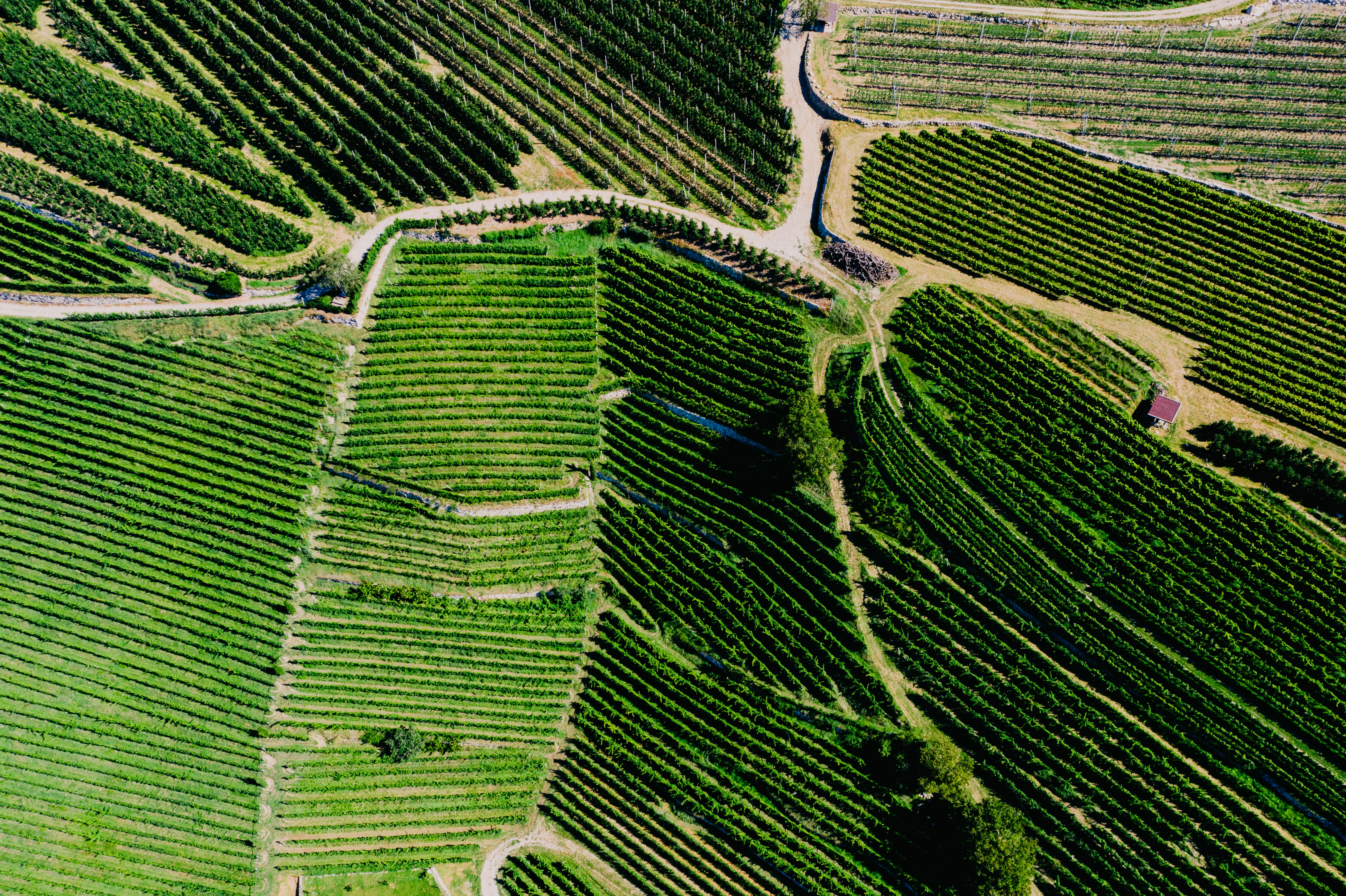 Photo by ballaschottner