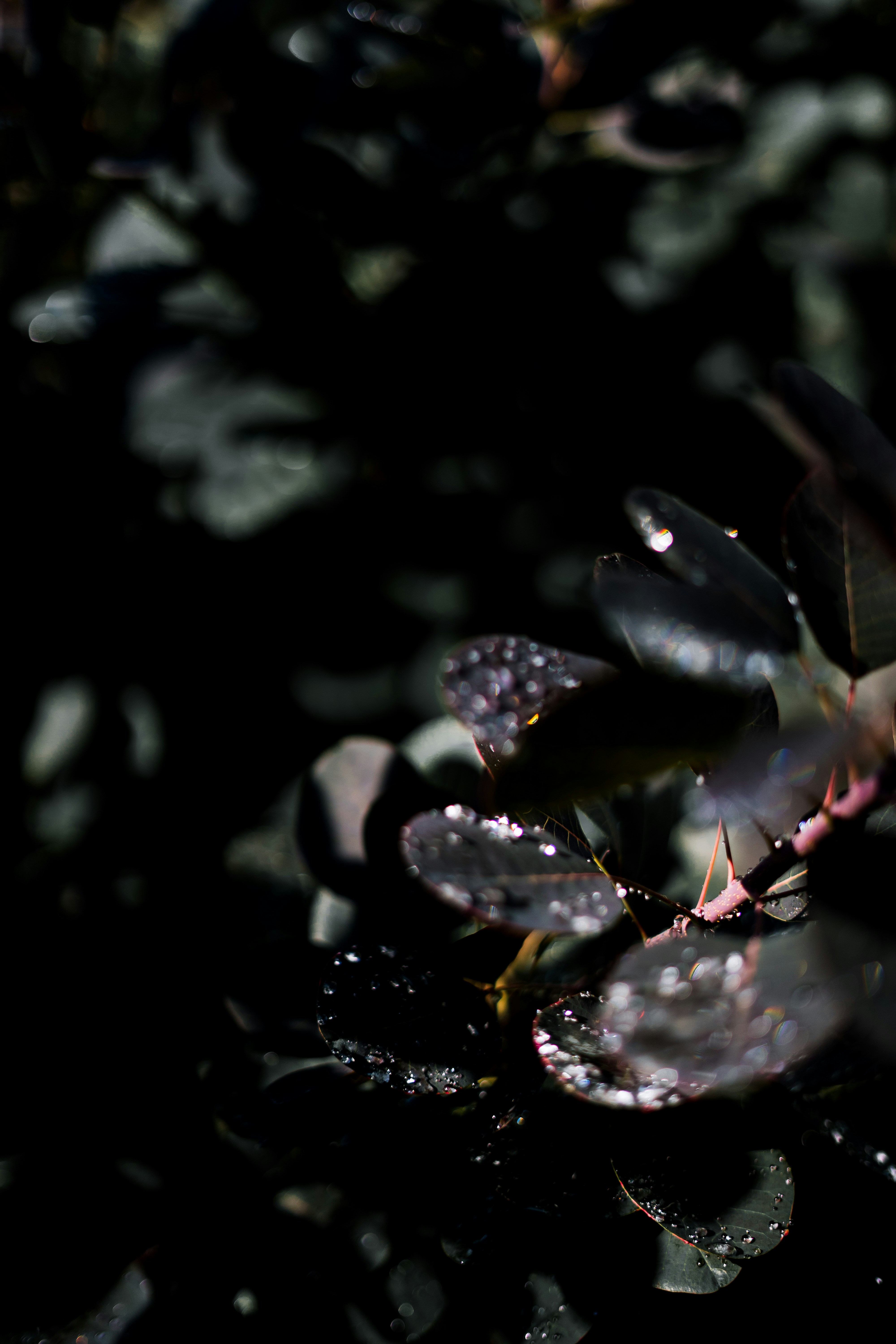 Photo by virussinside