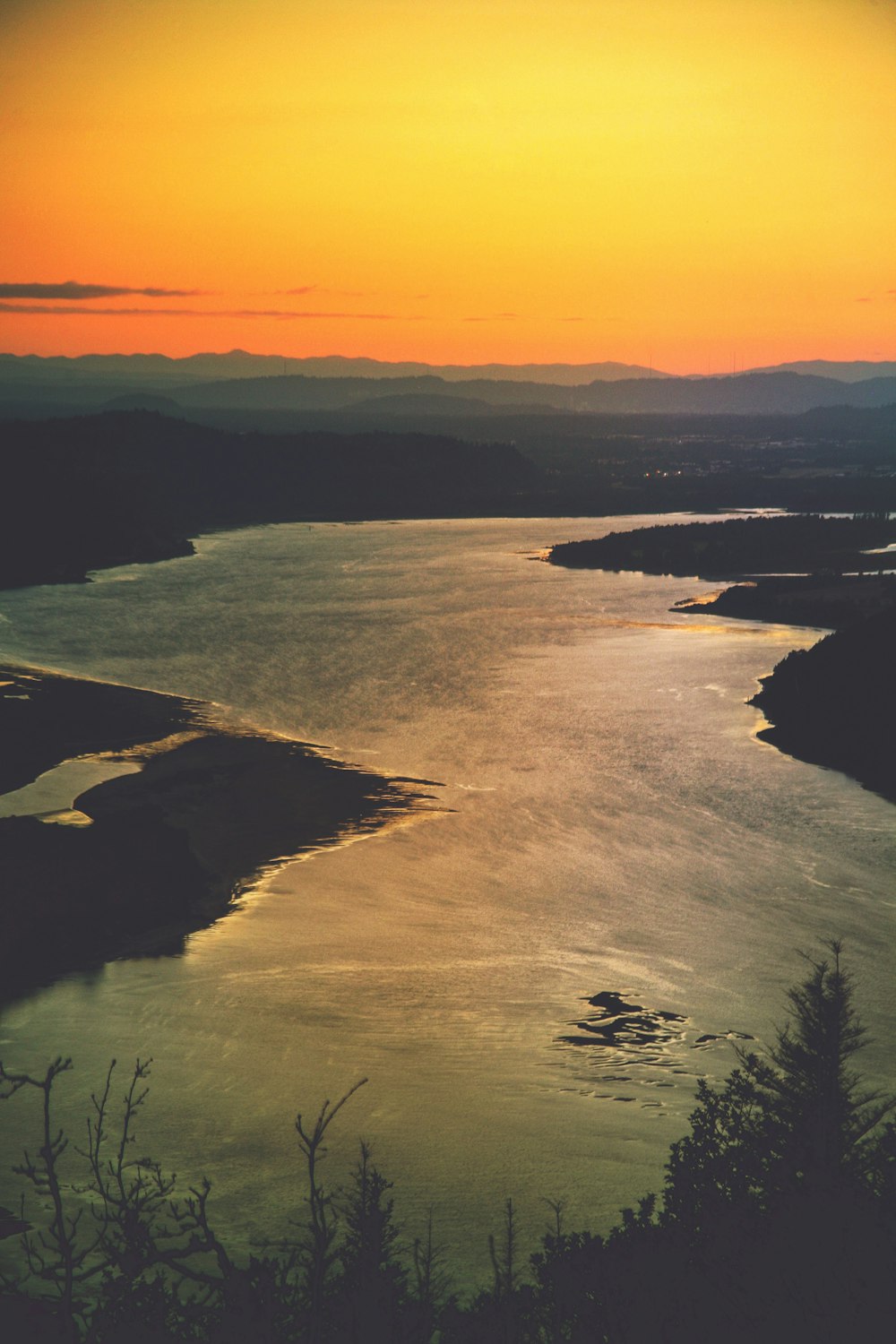 aerial photo of river