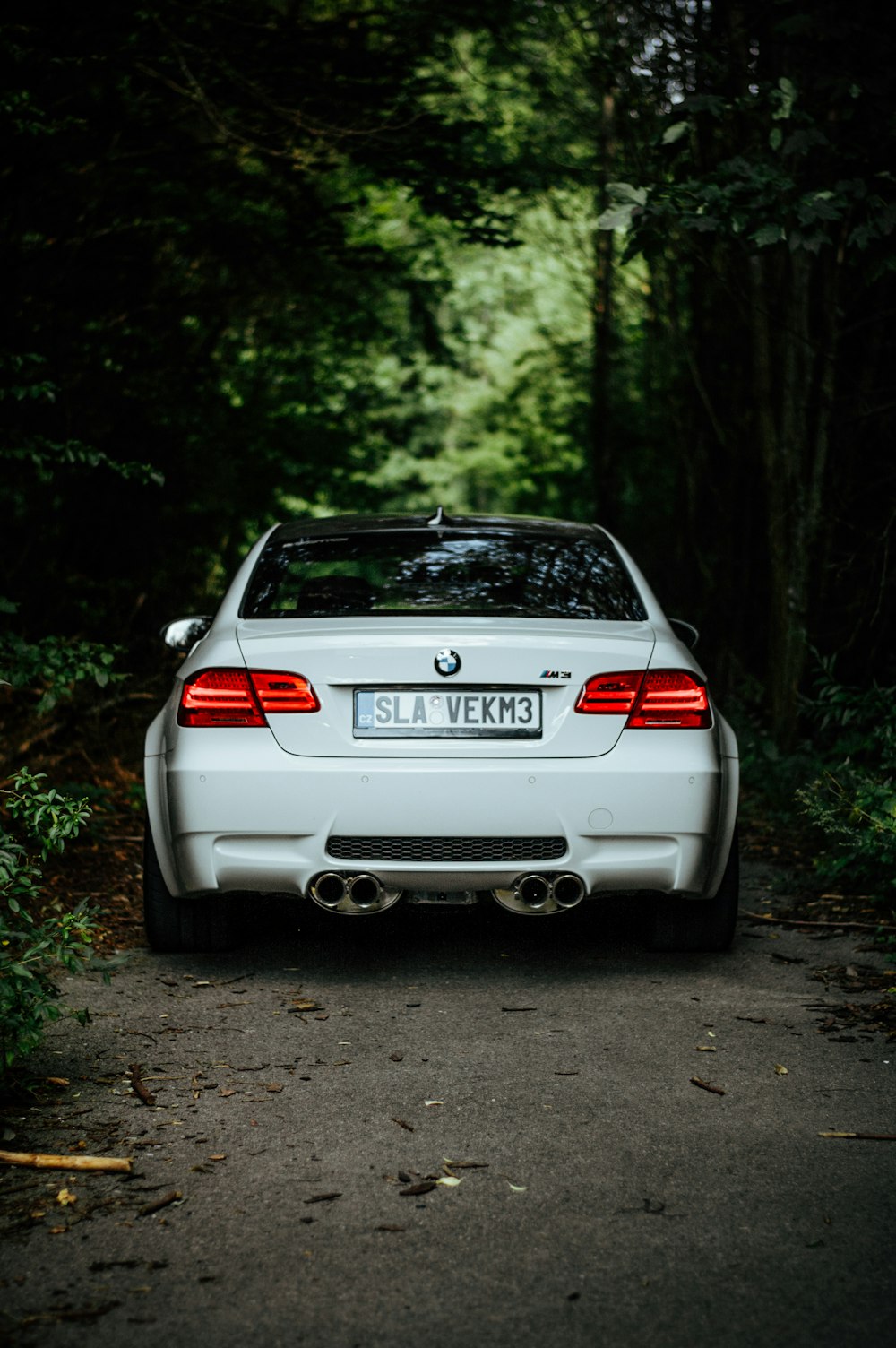BMW bianca vicino agli alberi
