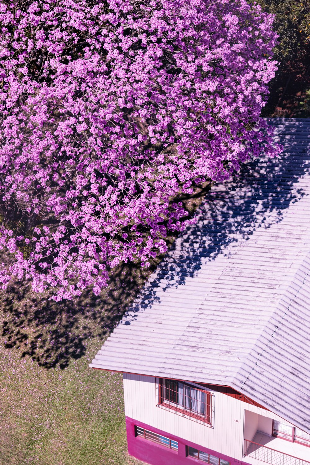 an aerial view of a house with purple flowers