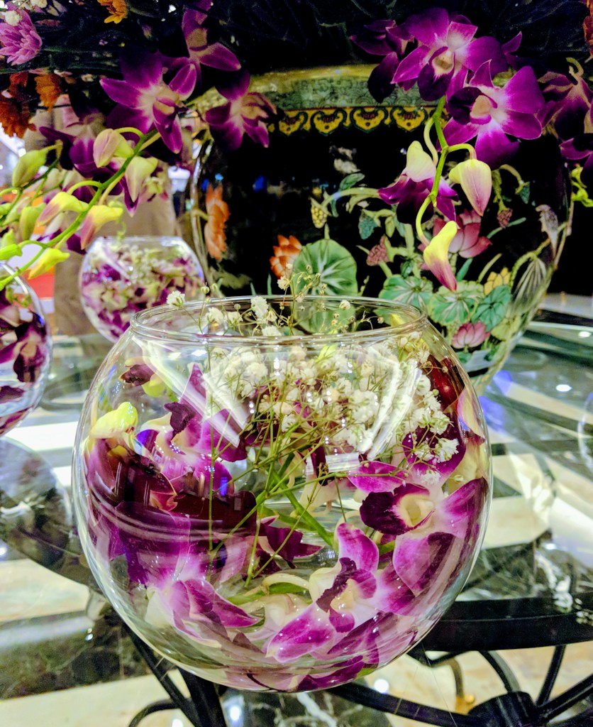 Orchid Elegance