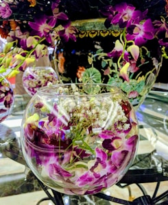 Orchid Elegance
