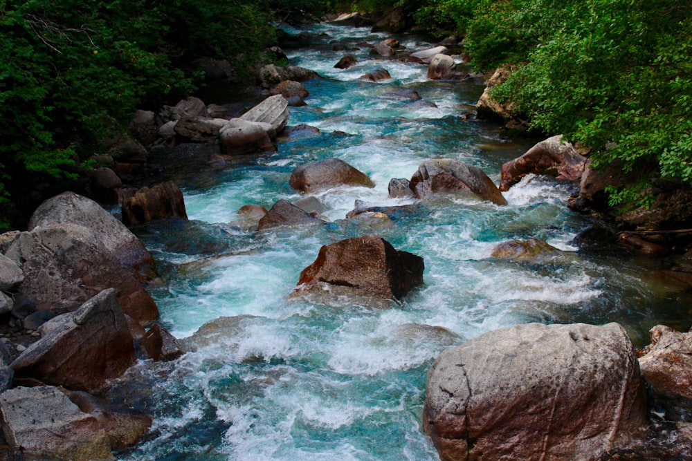 river with rocks