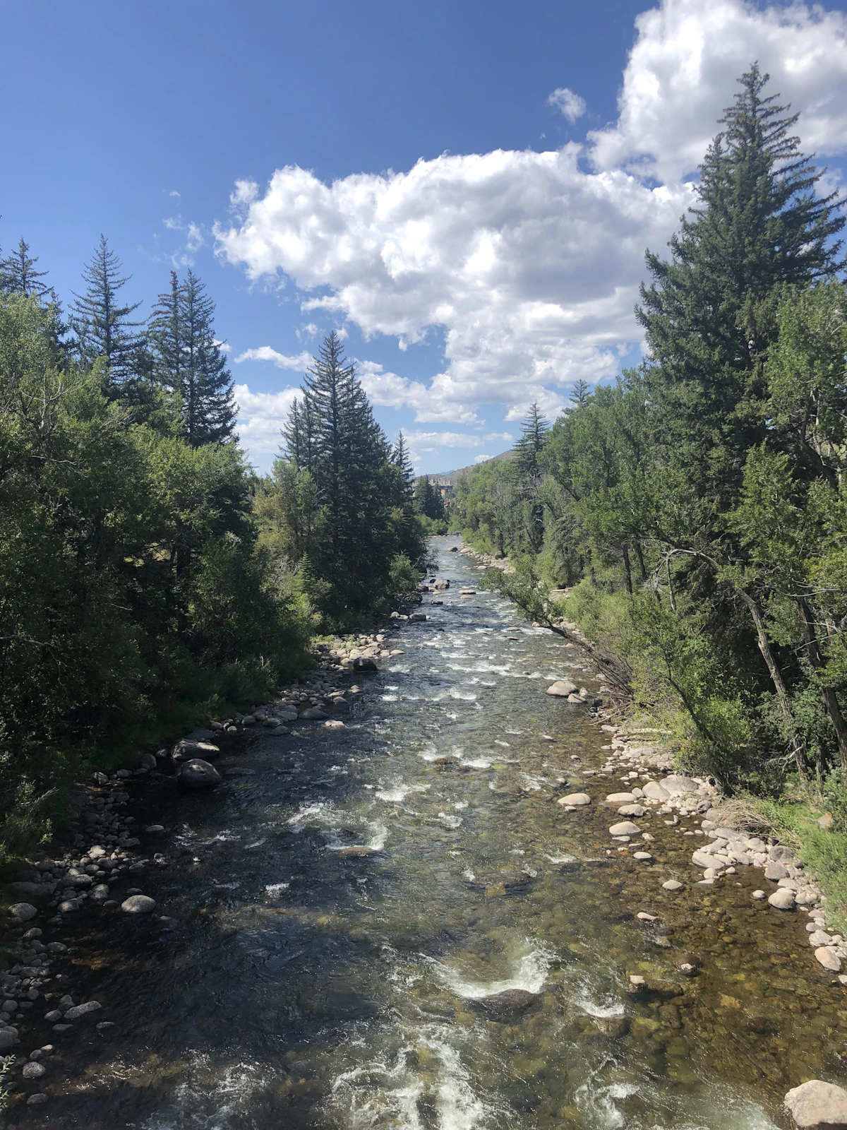 A clear mountain stream running through a forested valley near Vail, Colorado